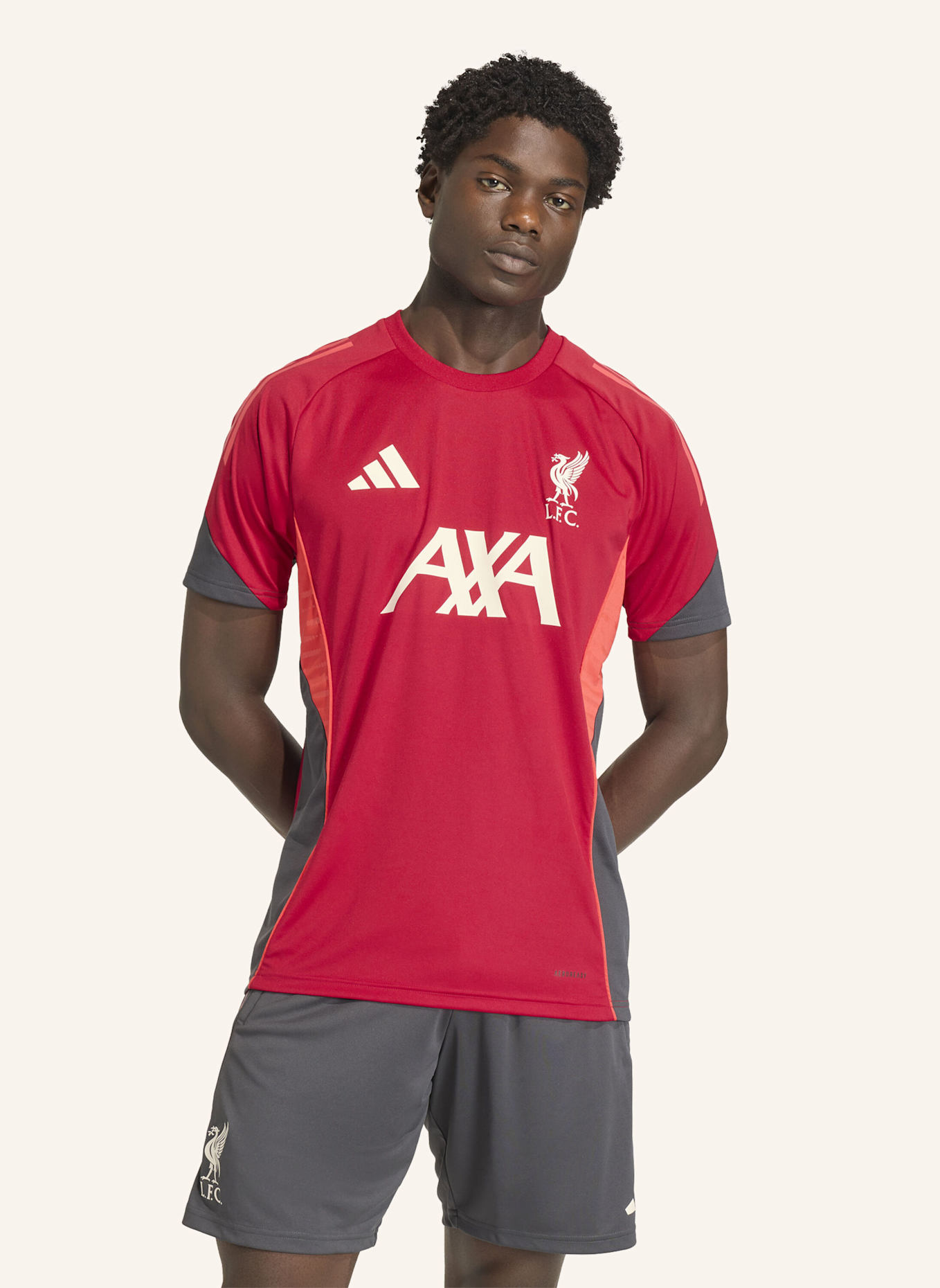 adidas FC LIVERPOOL TIRO 25 COMPETITION TRAININGSTRIKOT: ROT