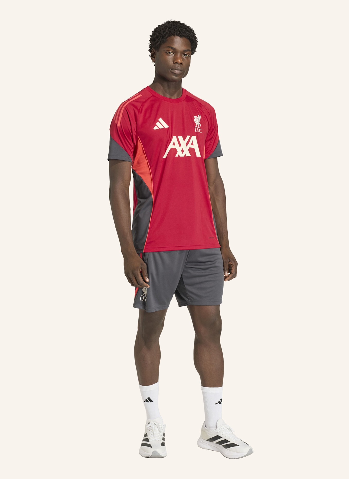 adidas FC LIVERPOOL TIRO 25 COMPETITION TRAININGSTRIKOT: ROT