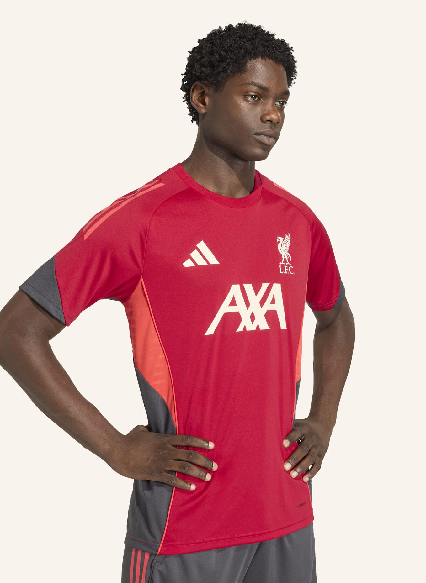 adidas FC LIVERPOOL TIRO 25 COMPETITION TRAININGSTRIKOT: ROT
