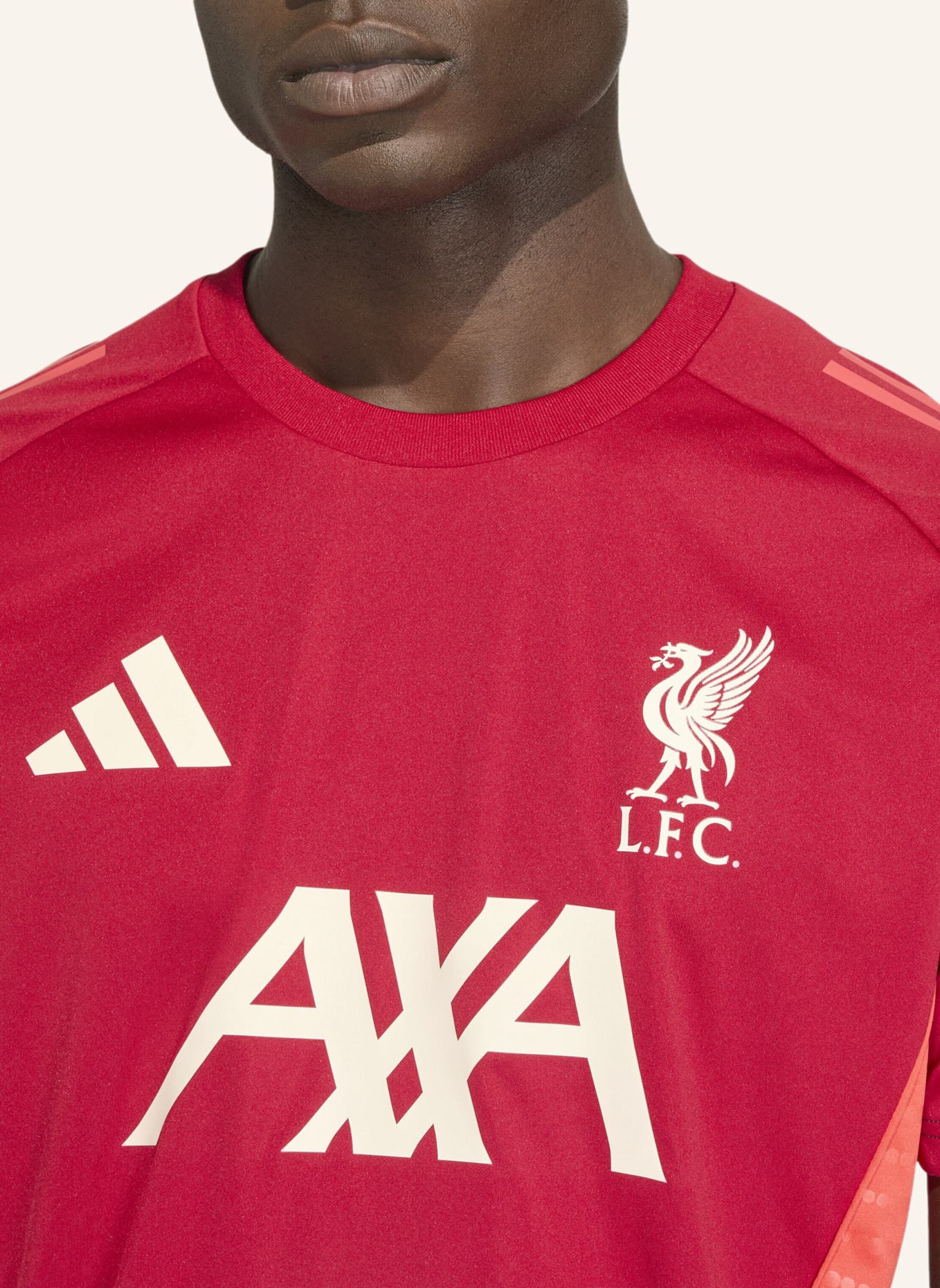 adidas FC LIVERPOOL TIRO 25 COMPETITION TRAININGSTRIKOT: ROT