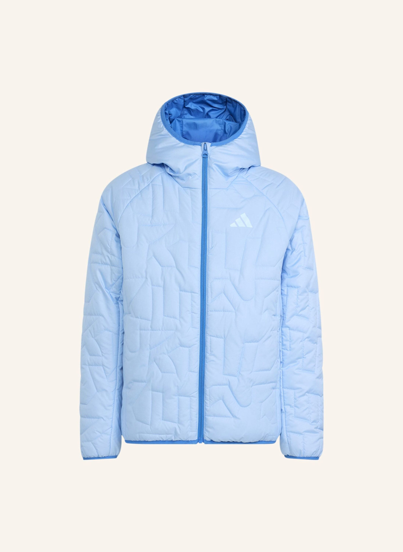 adidas TERREX TERREX KIDS XPERIOR CLIMAWARM PADDED JACKE: BLAU