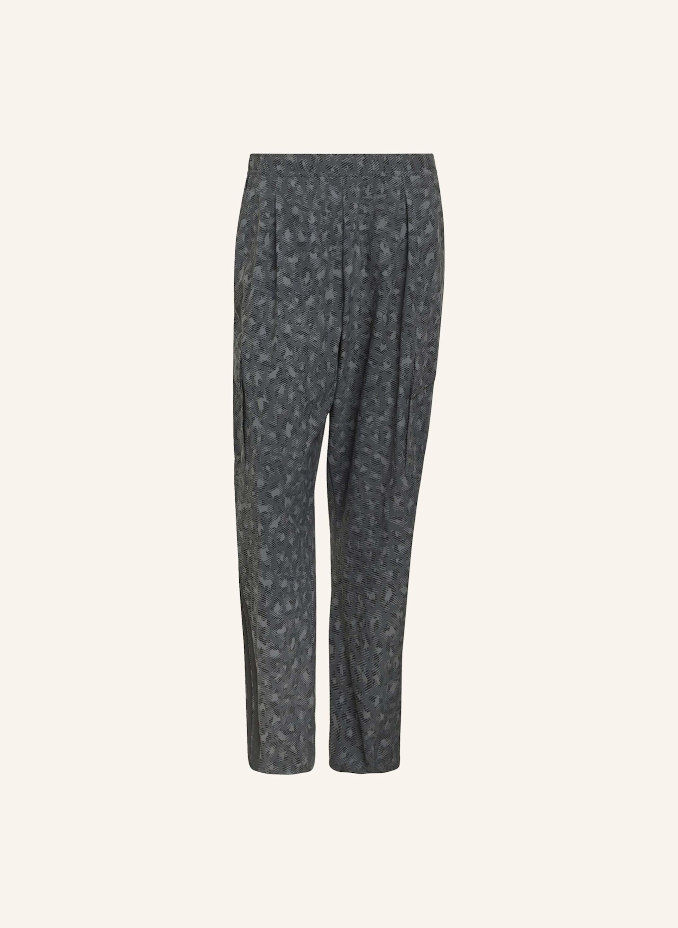 adidas TERREX TERREX XPLORIC CLIMA365 CARGOHOSE: GRAU