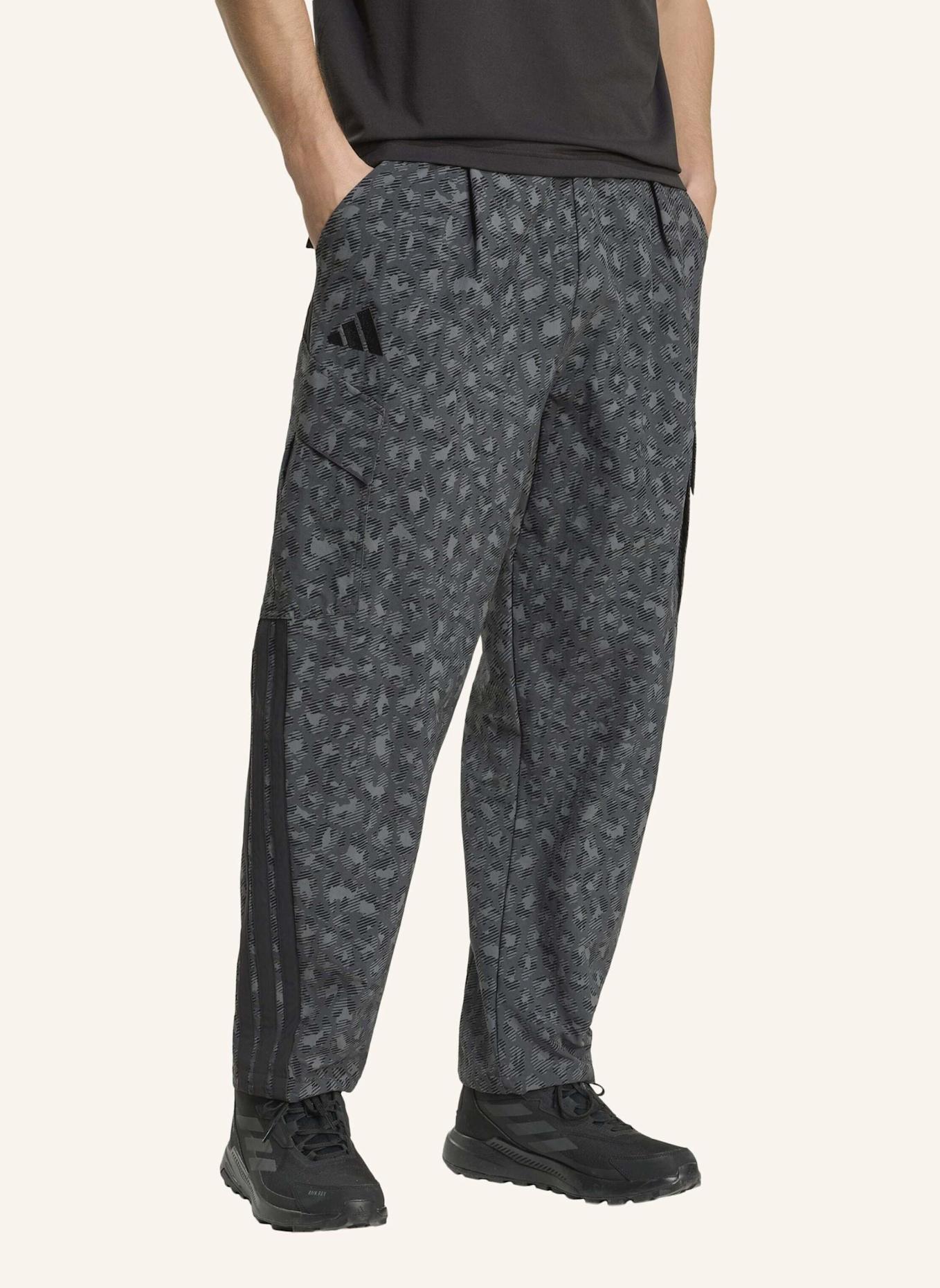 adidas TERREX TERREX XPLORIC CLIMA365 CARGOHOSE: GRAU