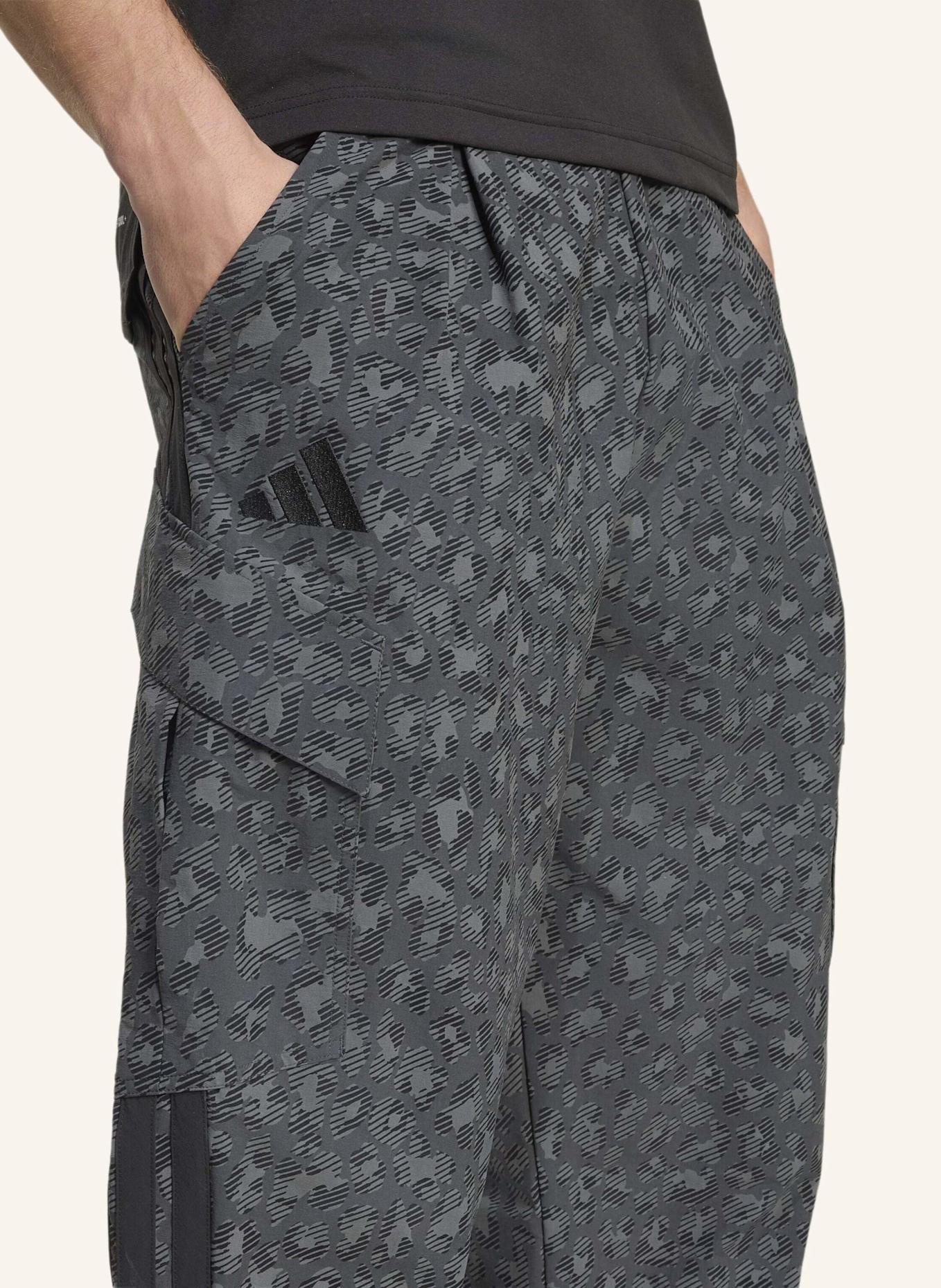 adidas TERREX TERREX XPLORIC CLIMA365 CARGOHOSE: GRAU
