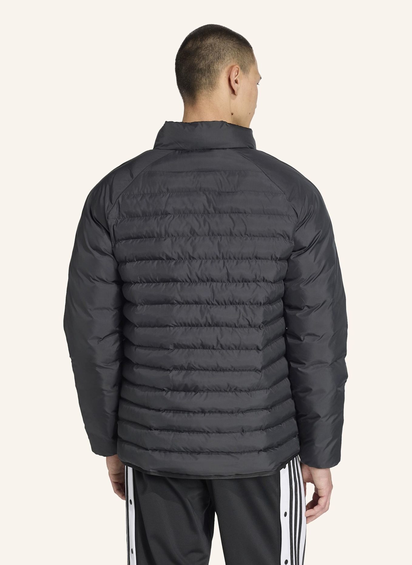 adidas Originals PADDED COLLAR JACKE: SCHWARZ