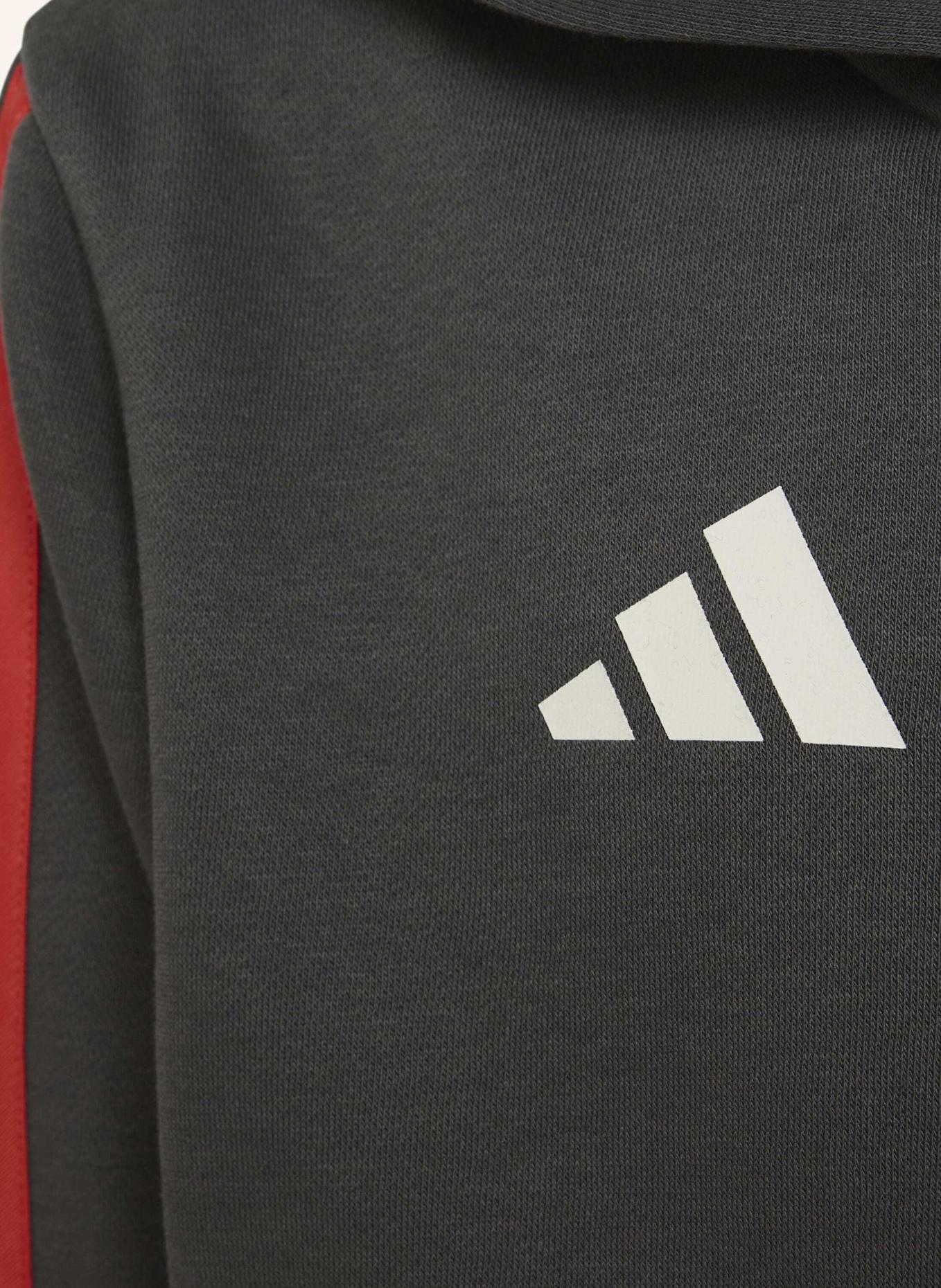 adidas AUDI REVOLUT F1 TEAM DNA FULL ZIP HOODIE: SCHWARZ