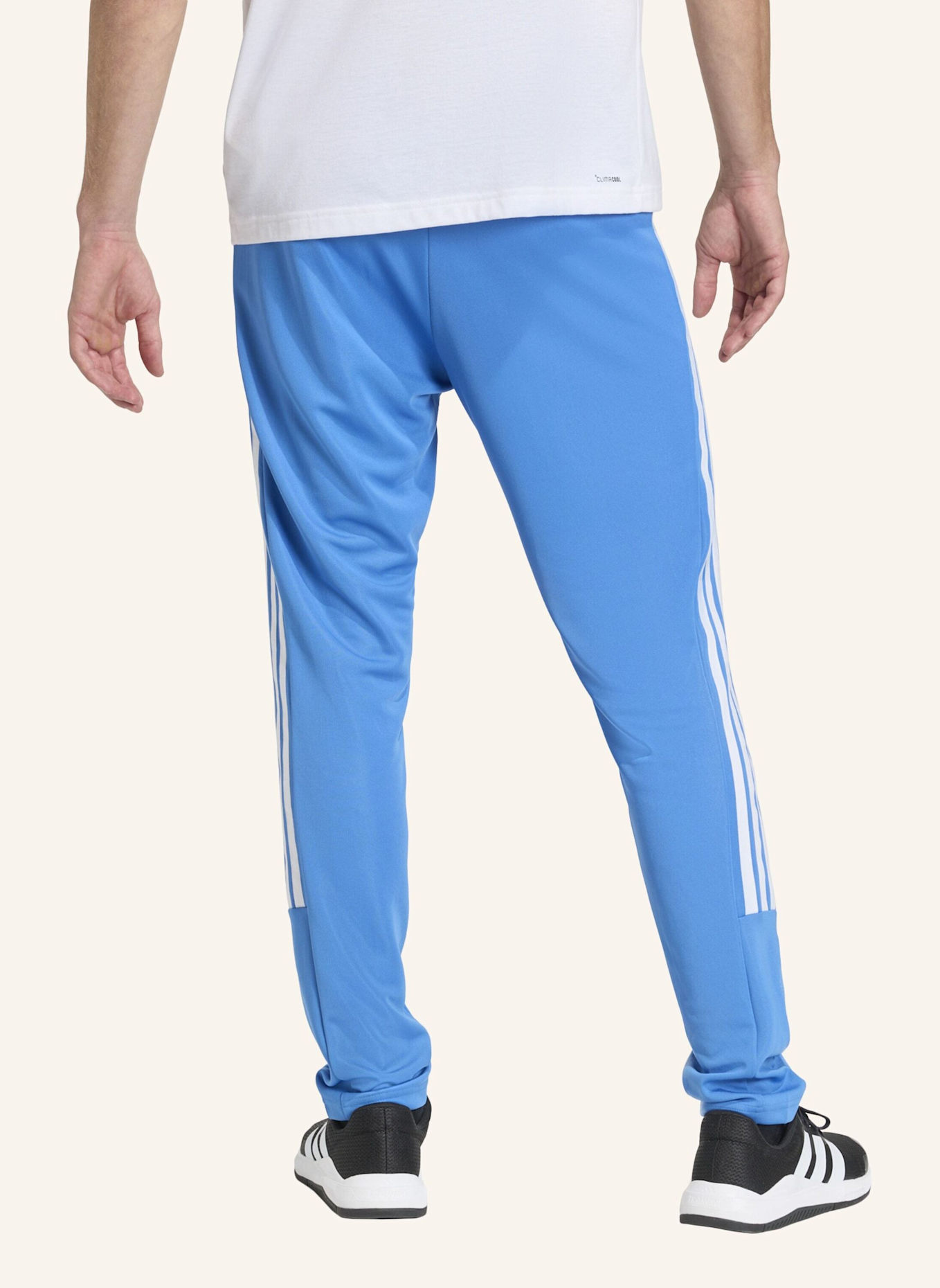 adidas Trainingshose WORKOUT ESSENTIALS ALL-SET 3-STRIPES: BLAU/ WEISS
