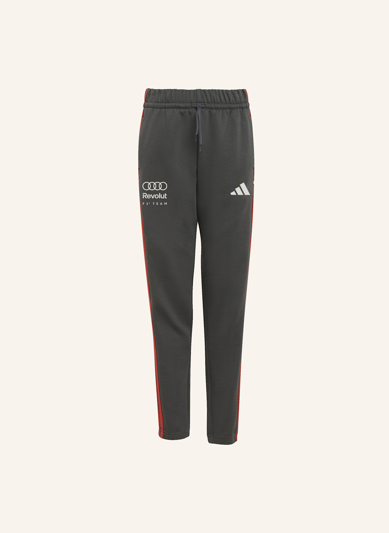adidas AUDI REVOLUT F1 TEAM DNA HOSE: SCHWARZ