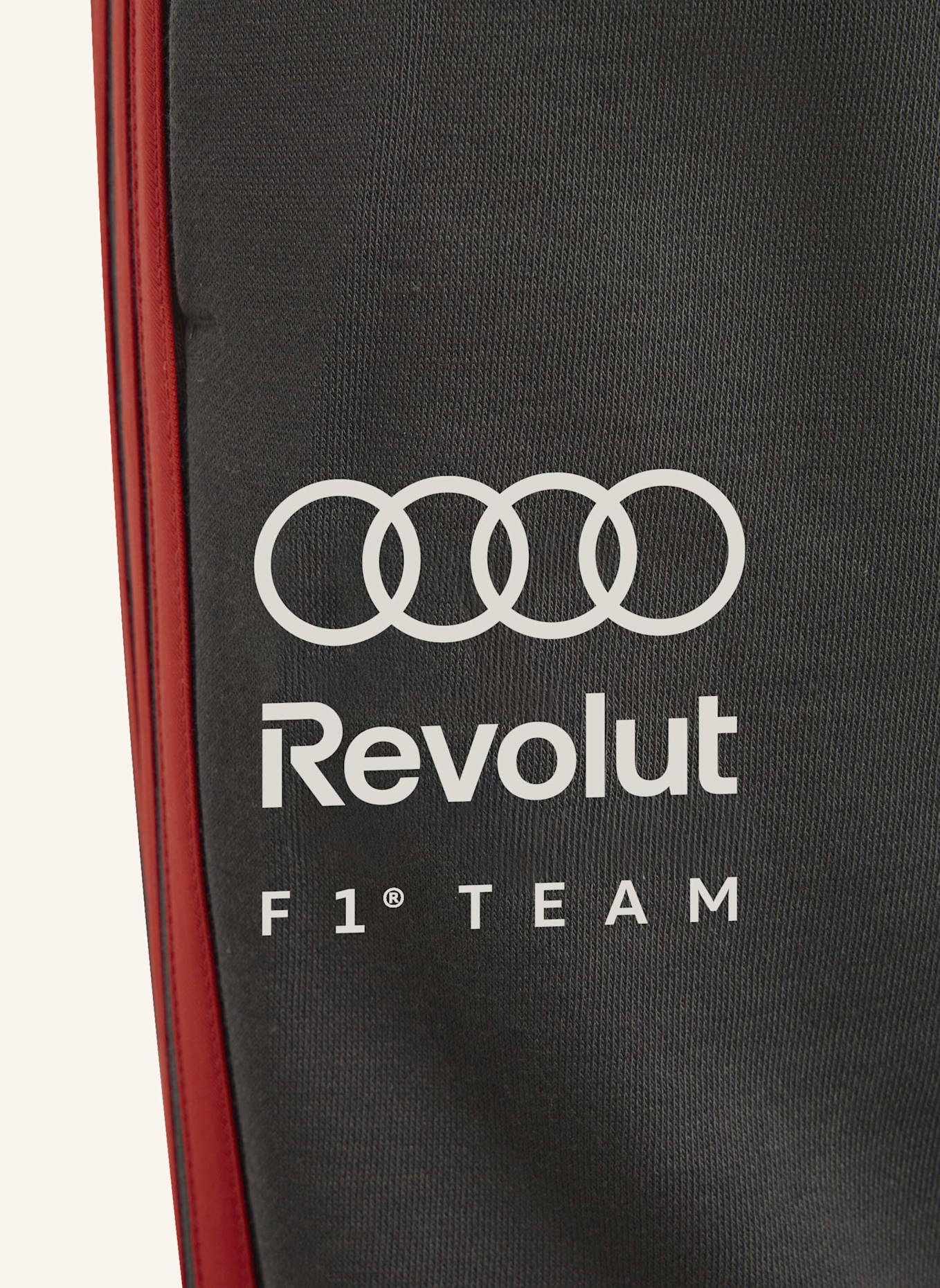 adidas AUDI REVOLUT F1 TEAM DNA HOSE: SCHWARZ