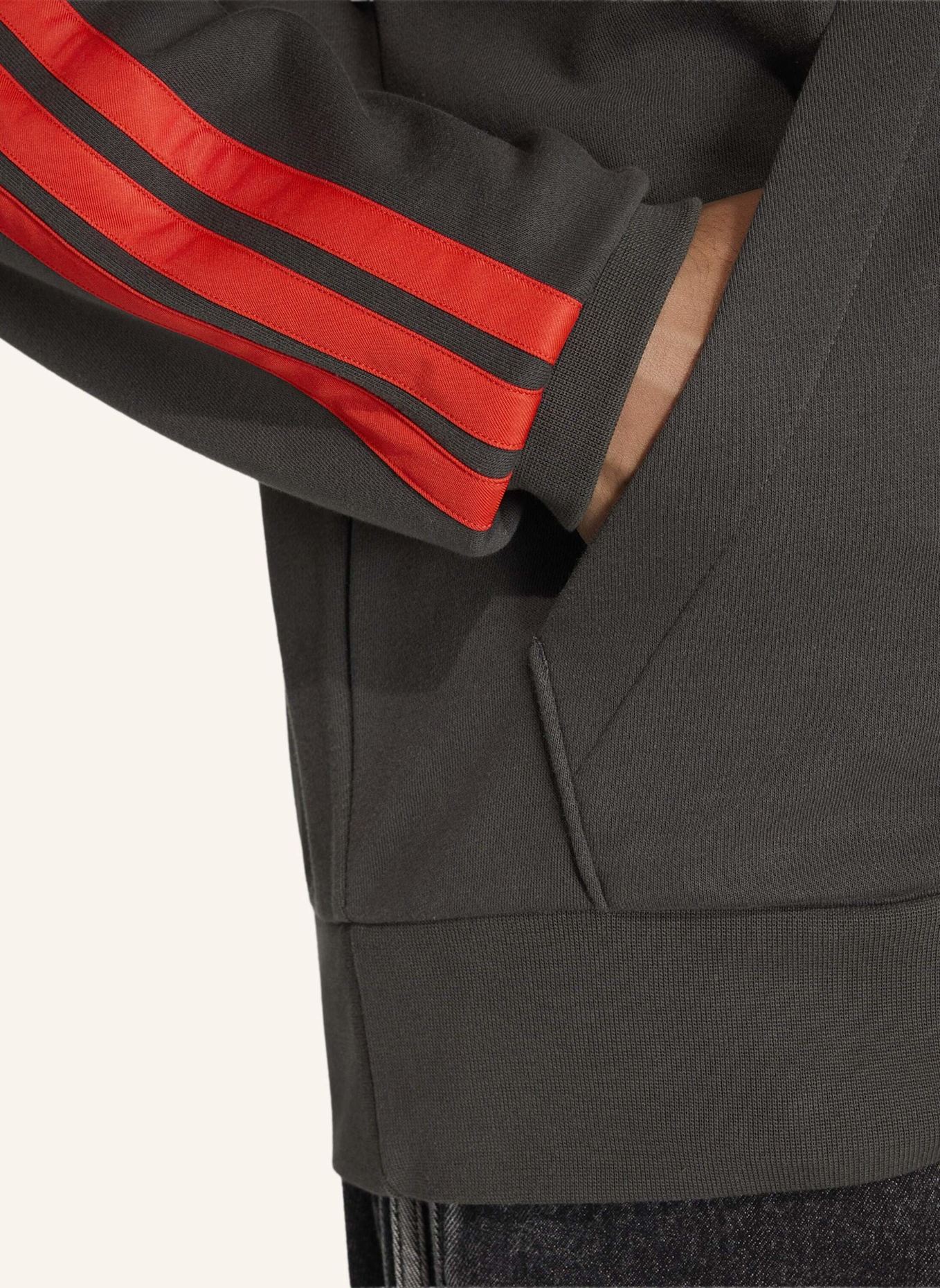 adidas AUDI REVOLUT F1 TEAM DNA FRENCH TERRY HOODIE: SCHWARZ