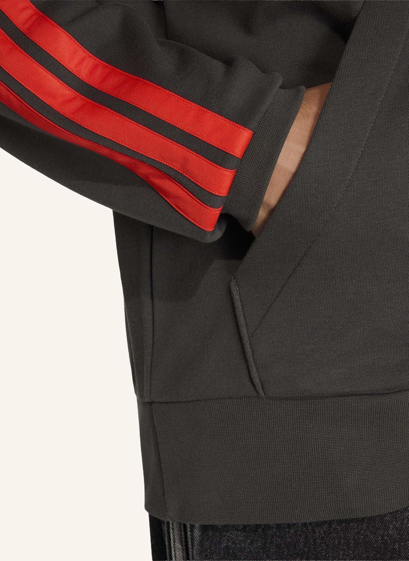 adidas AUDI REVOLUT F1 TEAM DNA FRENCH TERRY HOODIE: SCHWARZ