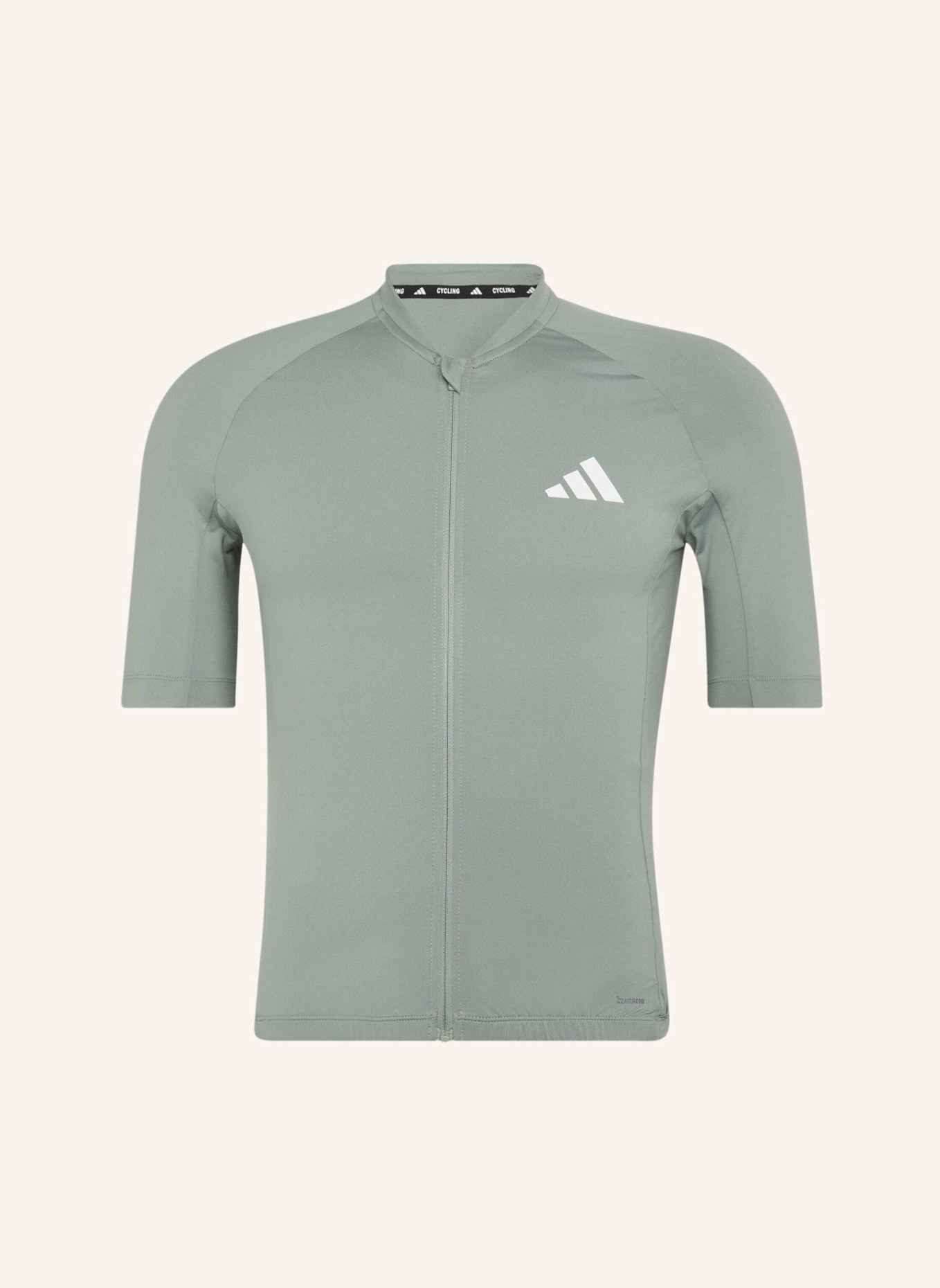 adidas ESSENTIALS RADTRIKOT: GRÜN