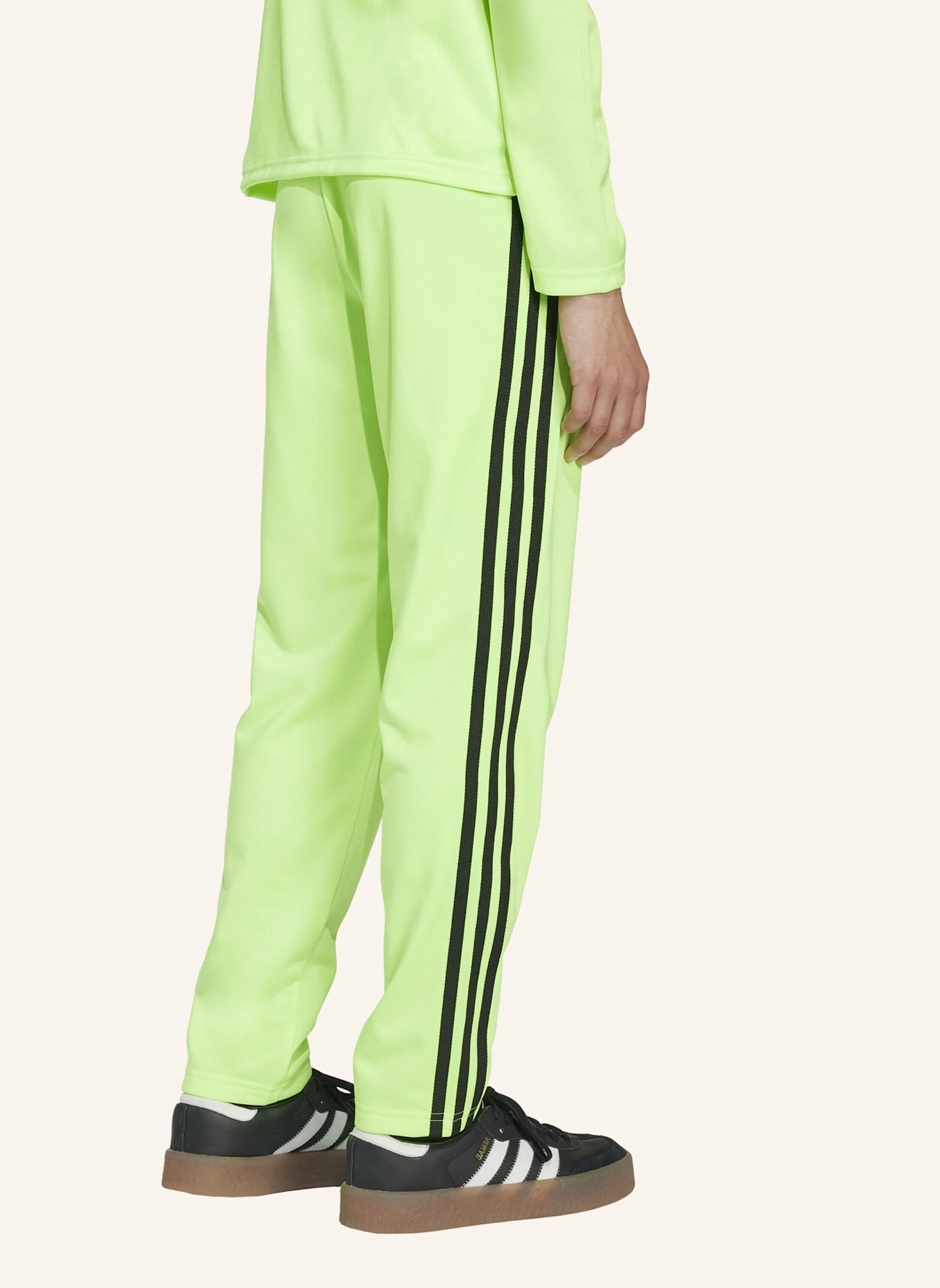 adidas Originals ADICOLOR FIREBIRD HOSE: GRÜN