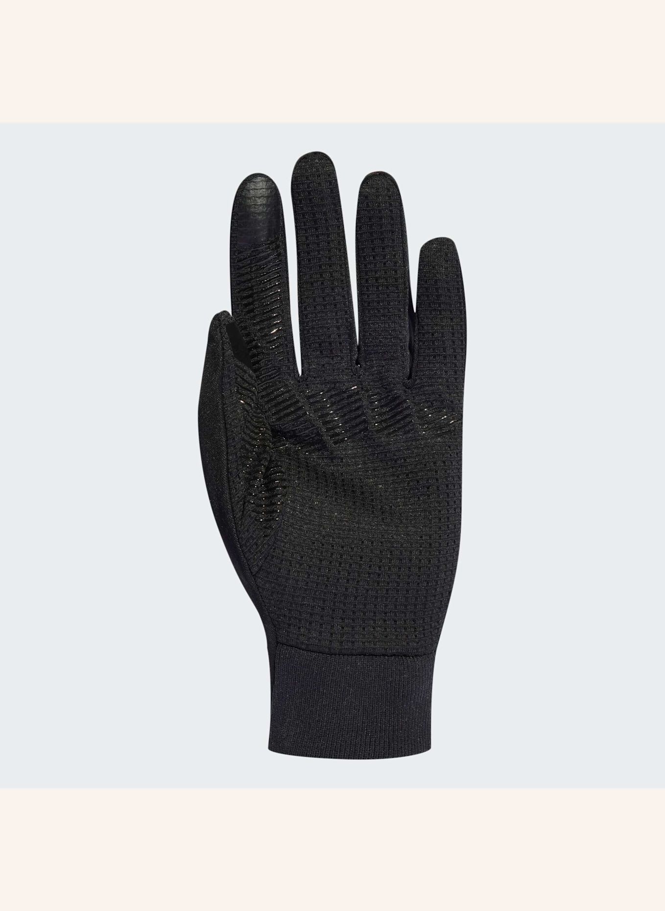 adidas TERREX TERREX COLD.RDY HANDSCHUHE: SCHWARZ