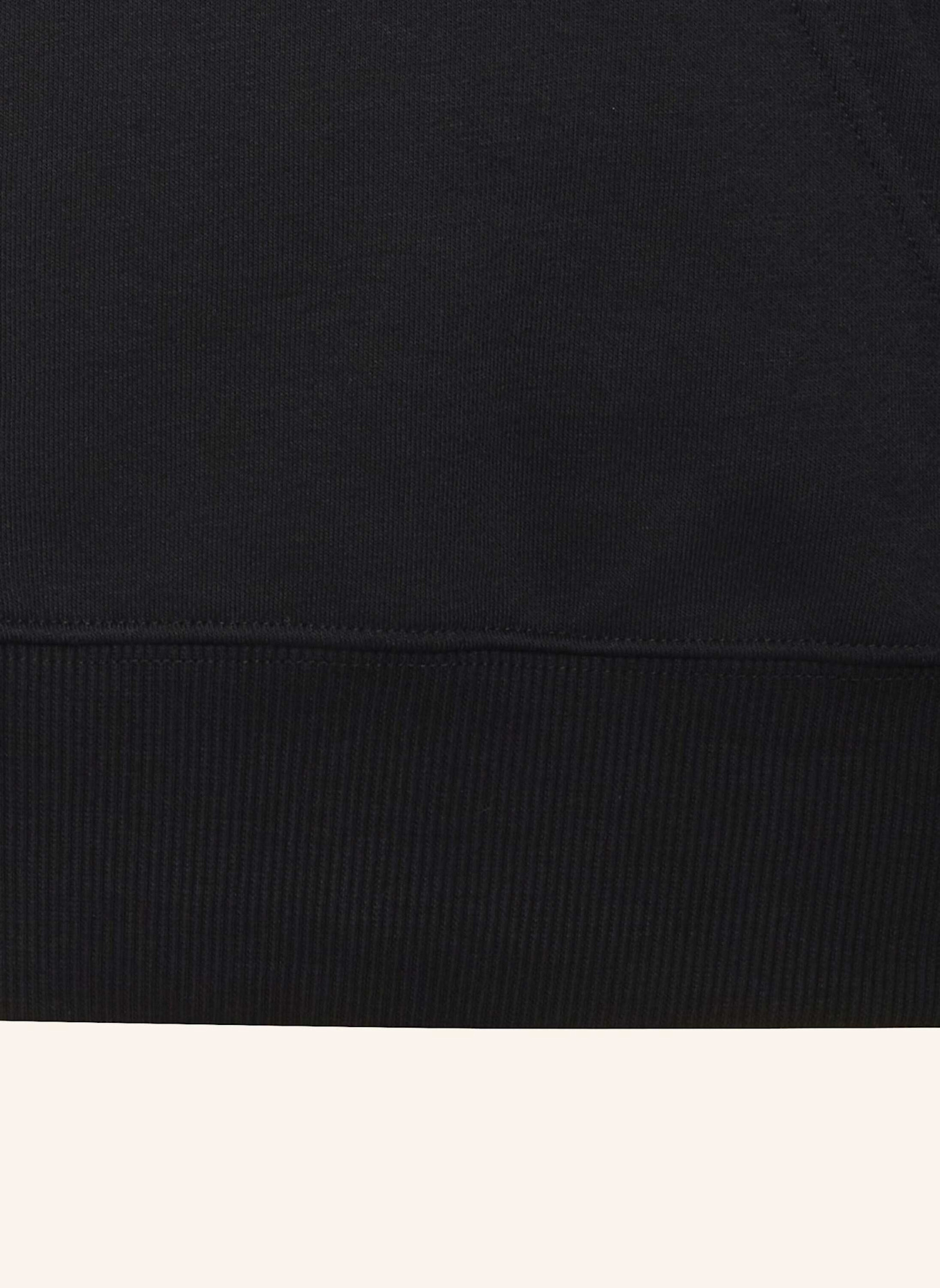 adidas AUDI REVOLUT F1 TEAM GABRIEL BORTOLETO GRAPHIC III HOODIE: SCHWARZ