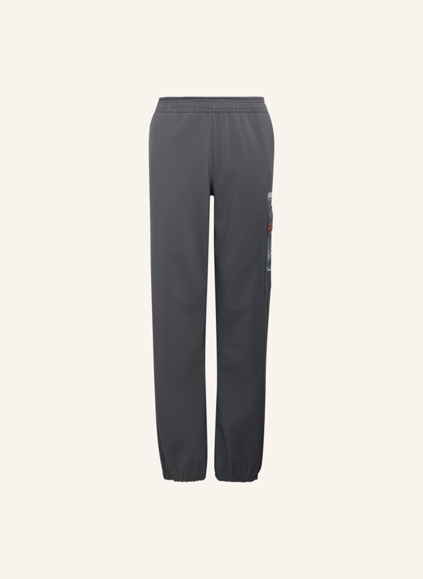 adidas TERREX ADIDAS MINECRAFT TERREX CLIMAWARM SOFTSHELL-HOSE: GRAU