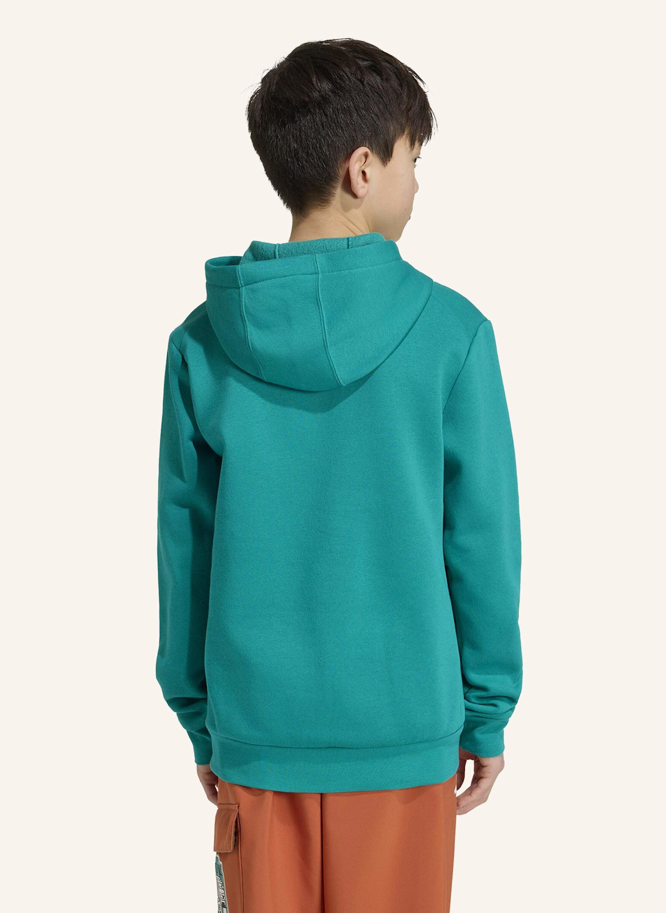 adidas TERREX ADIDAS MINECRAFT TERREX HOODIE: GRÜN