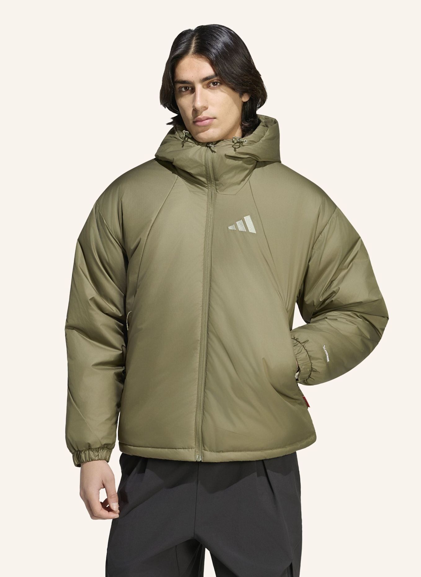adidas TERREX TERREX MULTI PRIMALOFT JACKE, KAPUZE, ISOLIEREND: GRÜN