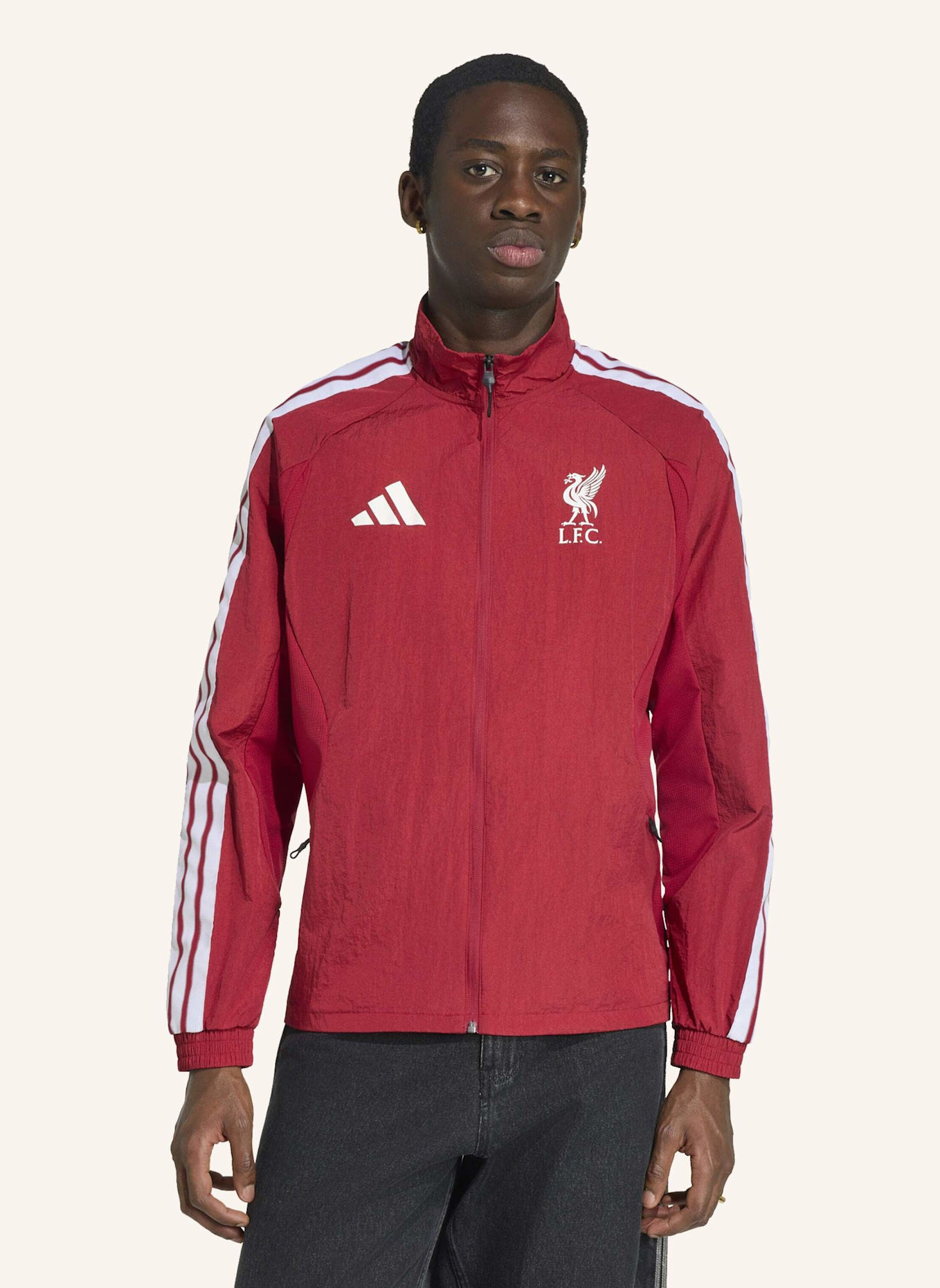 adidas FC LIVERPOOL ANTHEM HEIMJACKE: ROT