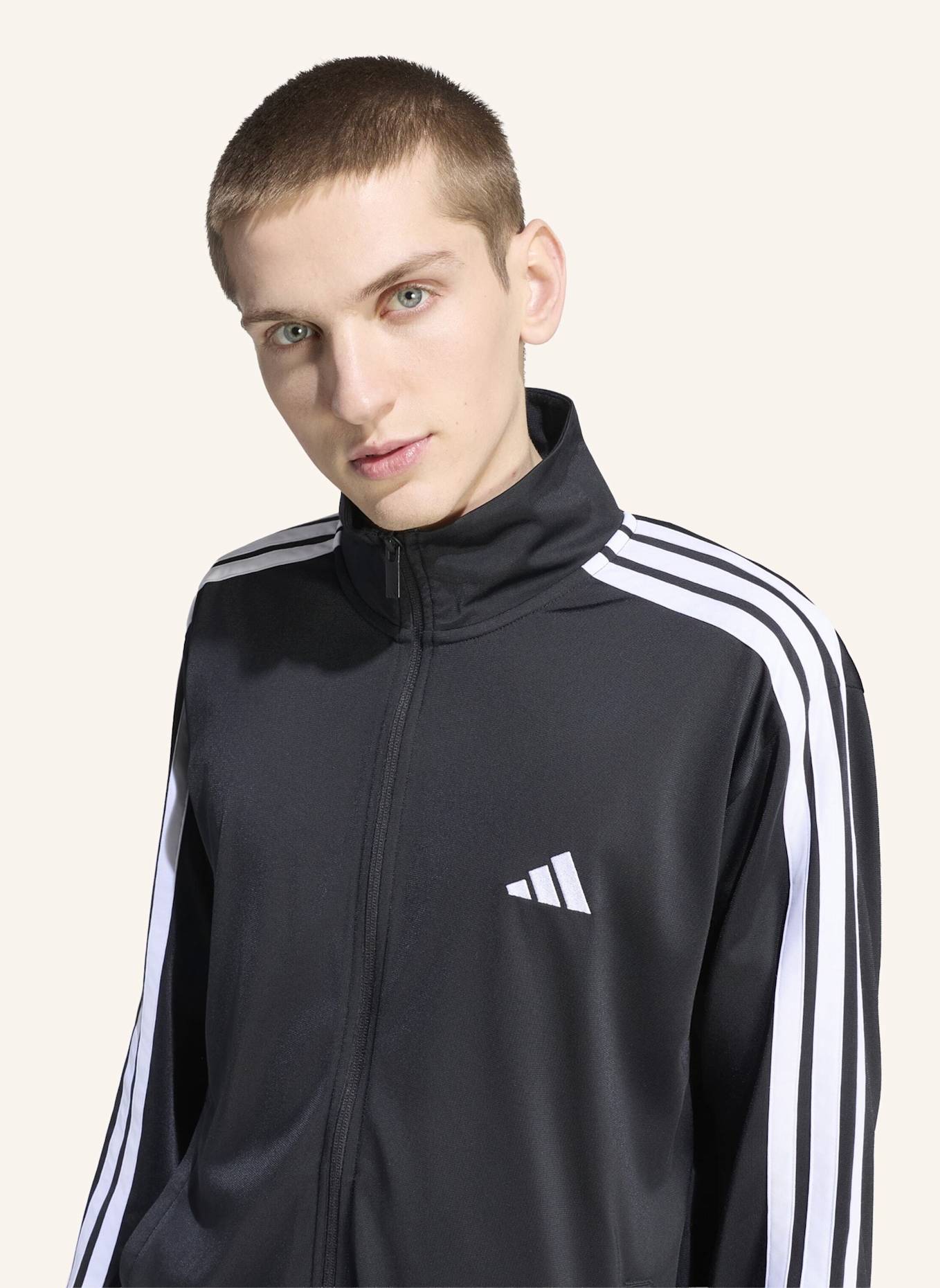 adidas DAYREADY TRAININGSANZUG: SCHWARZ/ WEISS