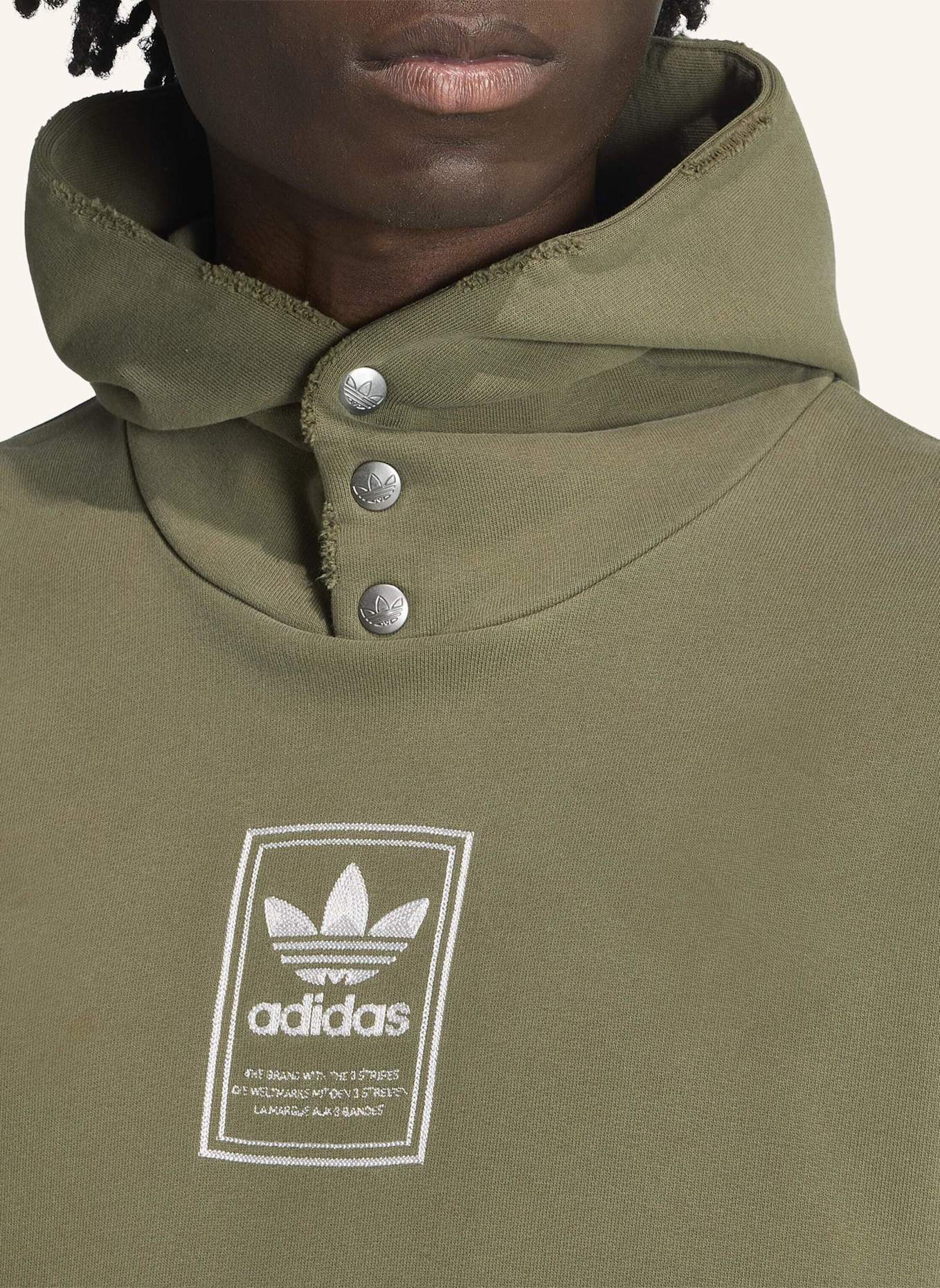 adidas Originals ELEVATED GFX HOODIE: GRÜN