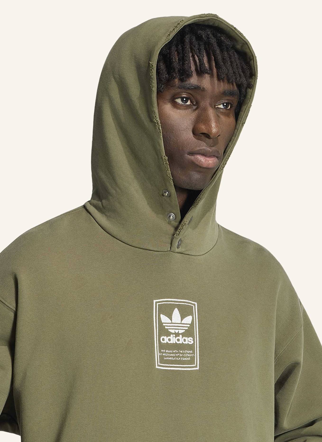 adidas Originals ELEVATED GFX HOODIE: GRÜN