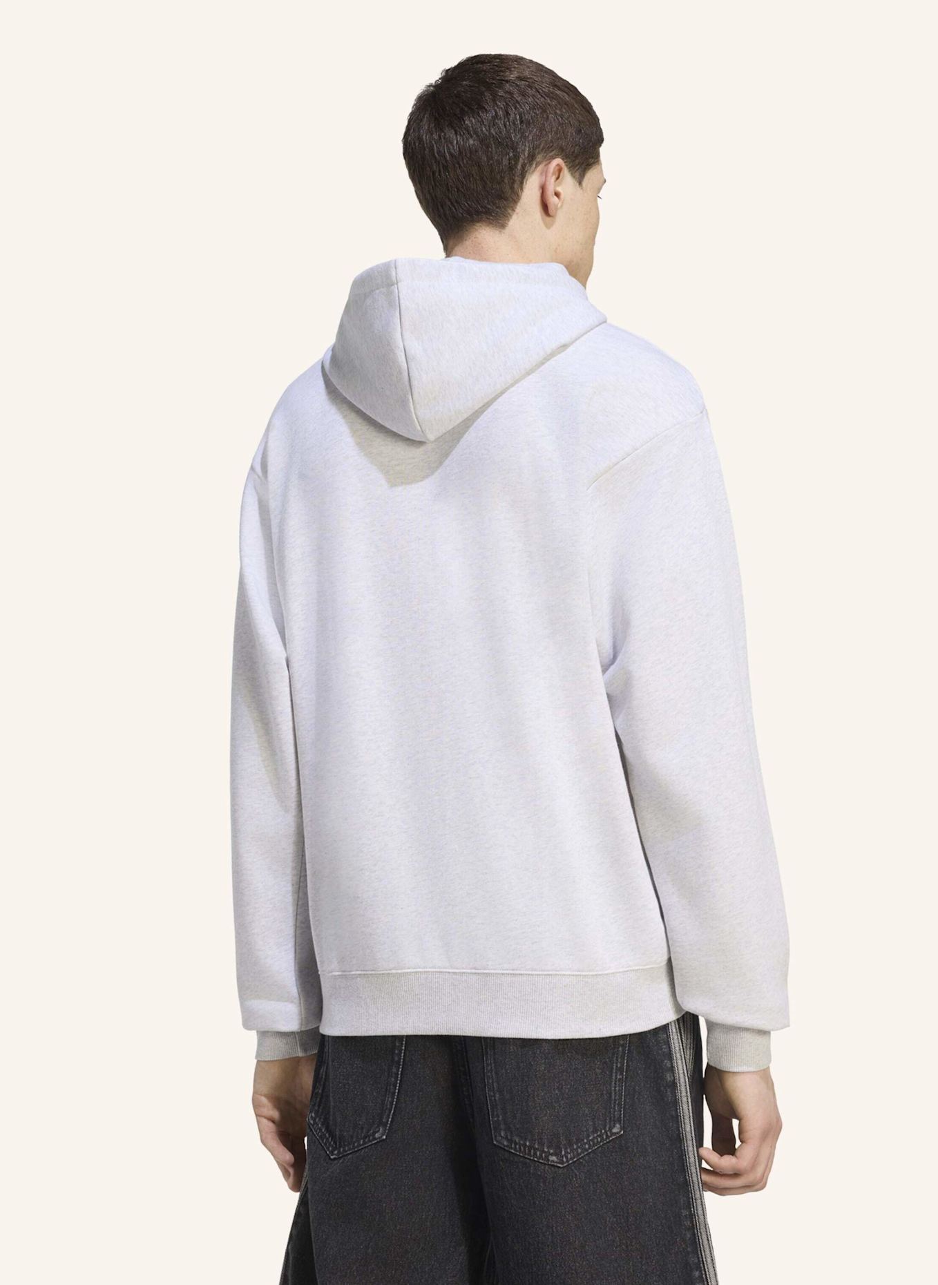 adidas AUDI FORMULA ONE TEAM NICO HÜLKENBERG GRAFIK I HOODIE: GRAU