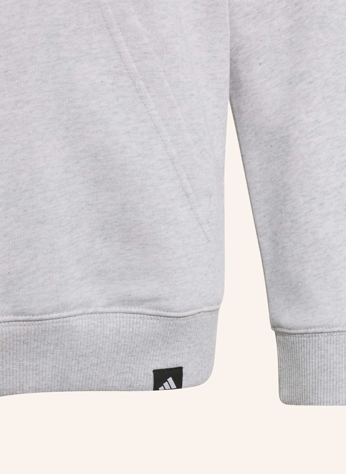 adidas AUDI REVOLUT F1 TEAM NICO HÜLKENBERG GRAFIK I HOODIE: GRAU