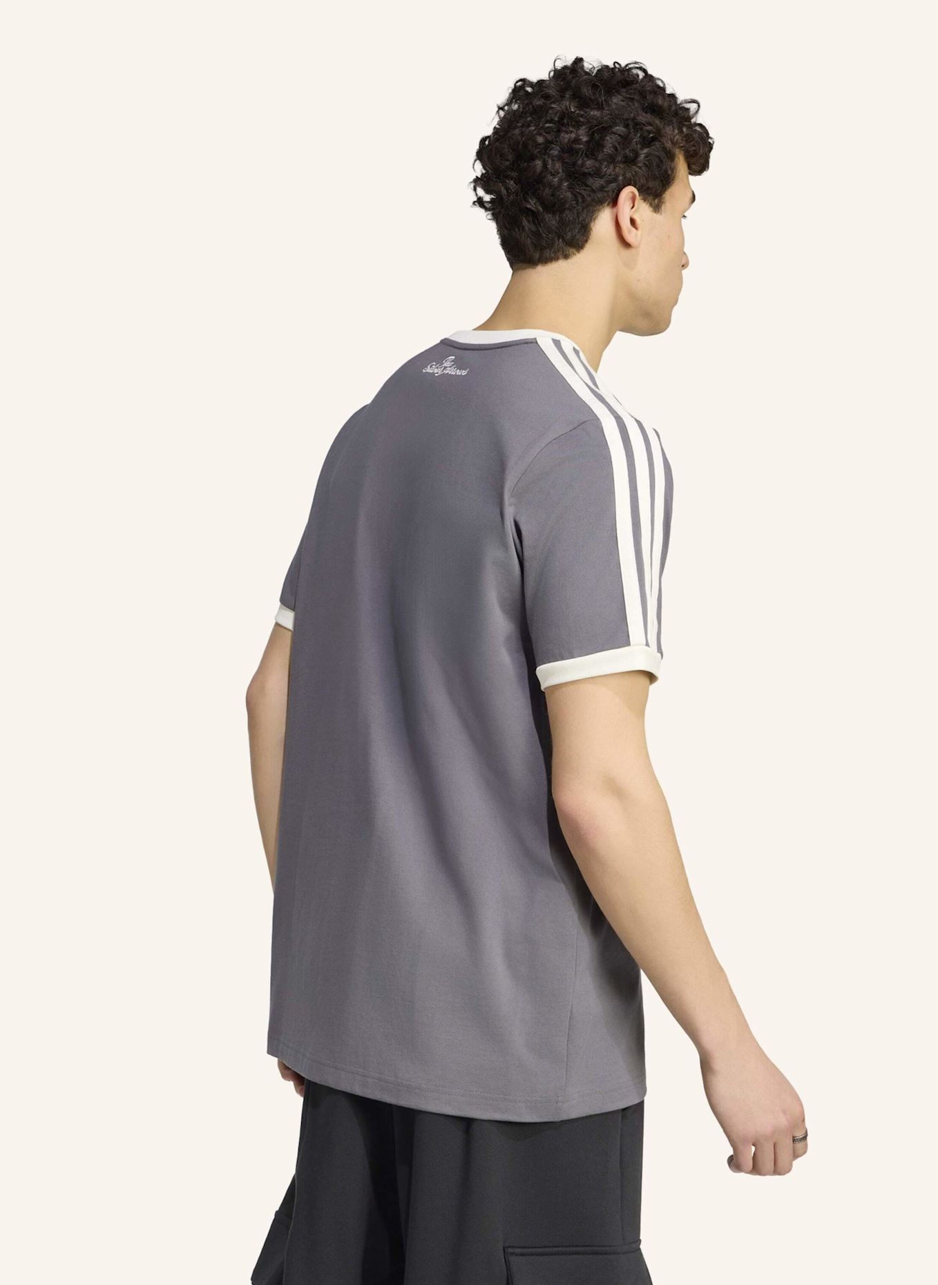 adidas T-Shirt AMG PETRONAS FORMULA ONE TEAM SILVER ARROWS: GRAU/ WEISS