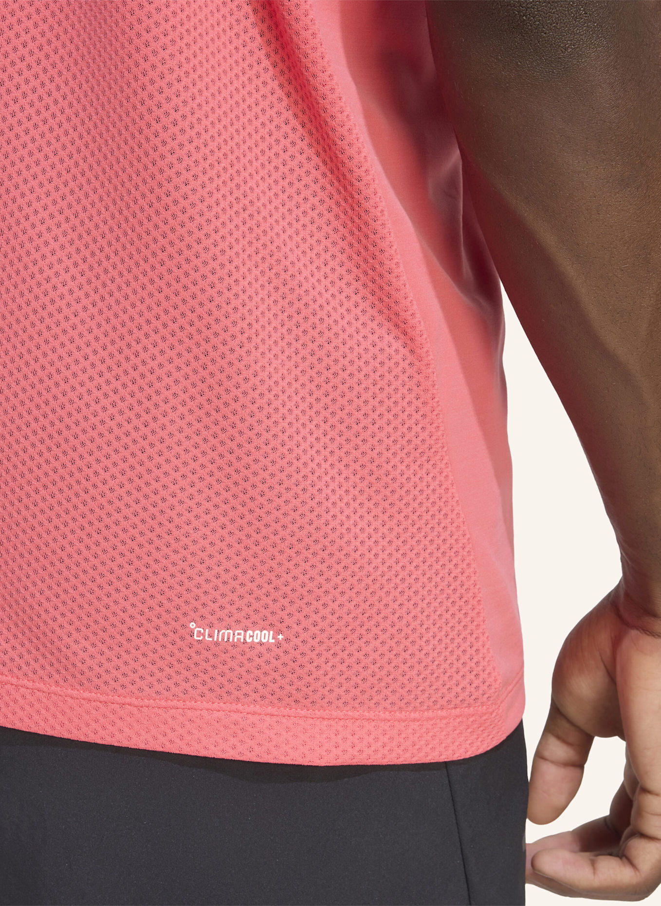 adidas TERREX T-Shirt: PINK