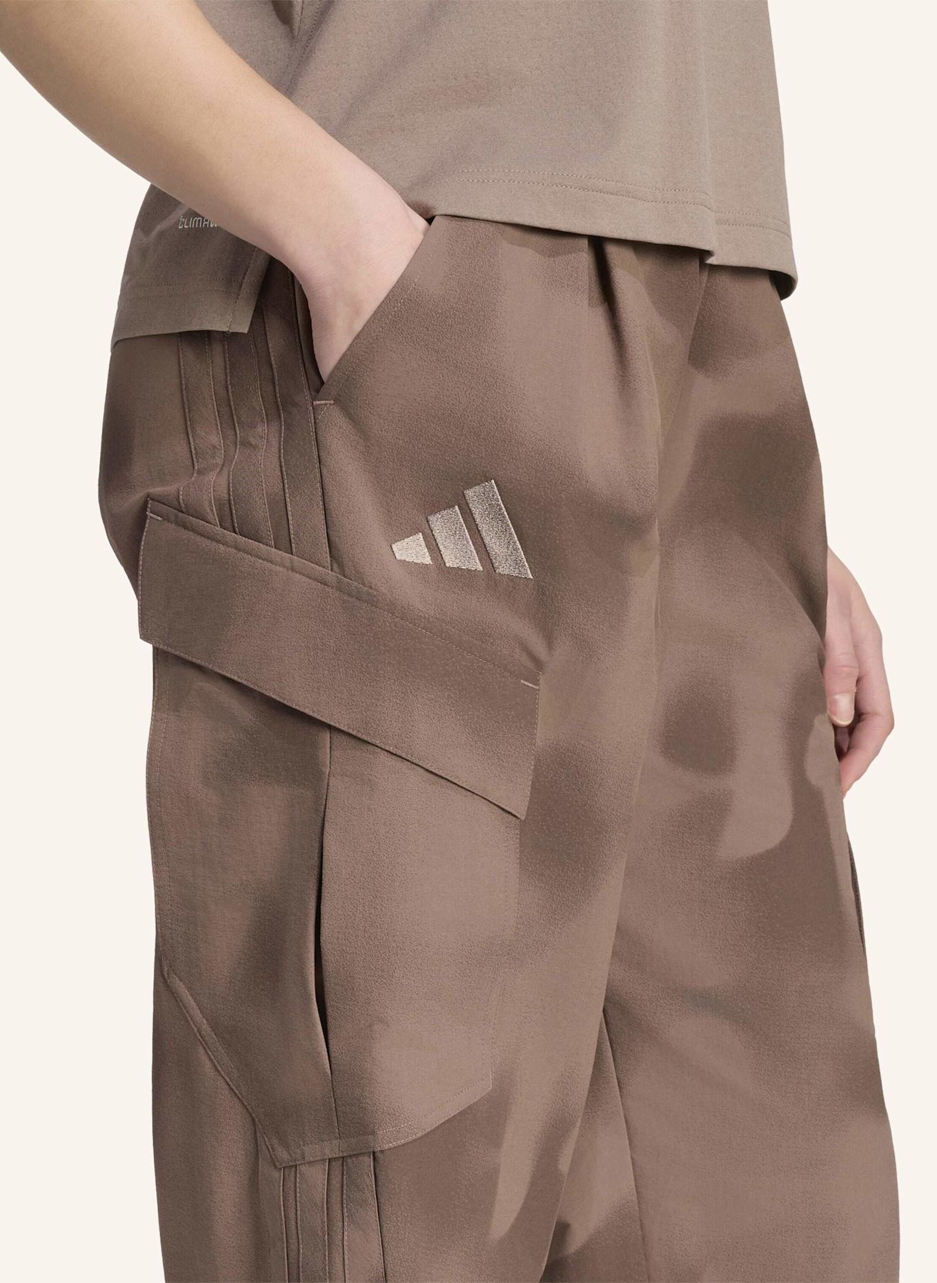 adidas TERREX TERREX XPLORIC CLIMA365 CARGOHOSE: BRAUN