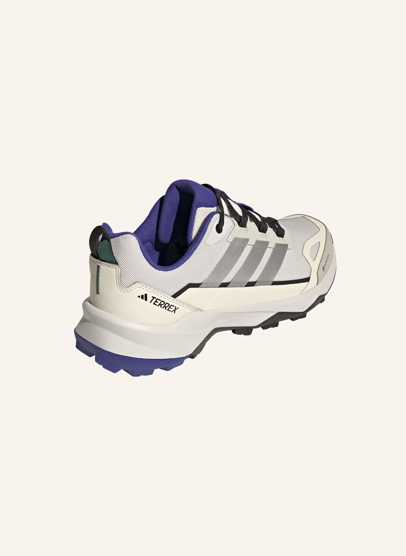 adidas TERREX Wanderschuhe TERREX SKYCHASER AX5 GTX: BEIGE