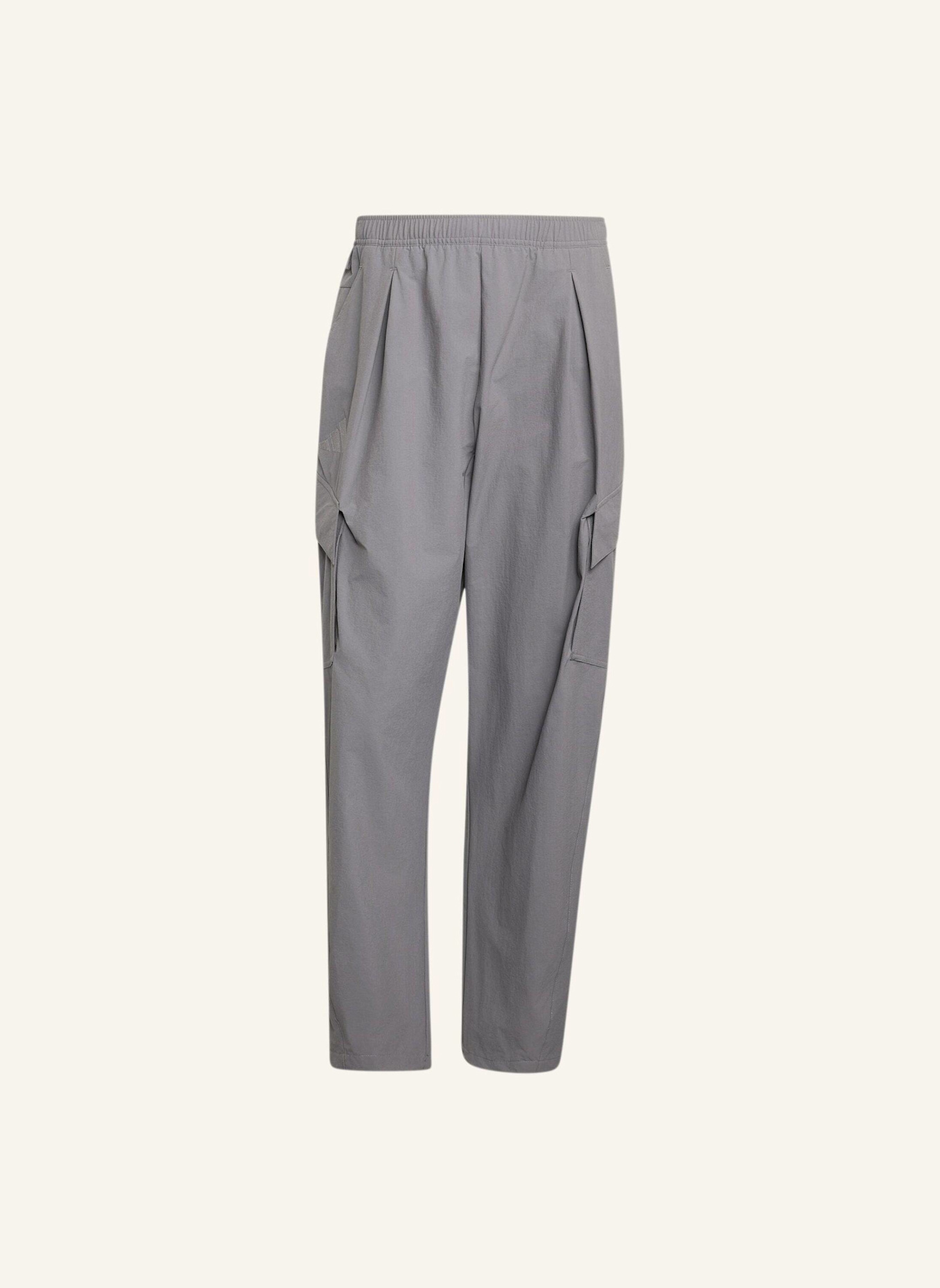adidas TERREX TERREX XPLORIC CLIMA365 CARGOHOSE: GRAU