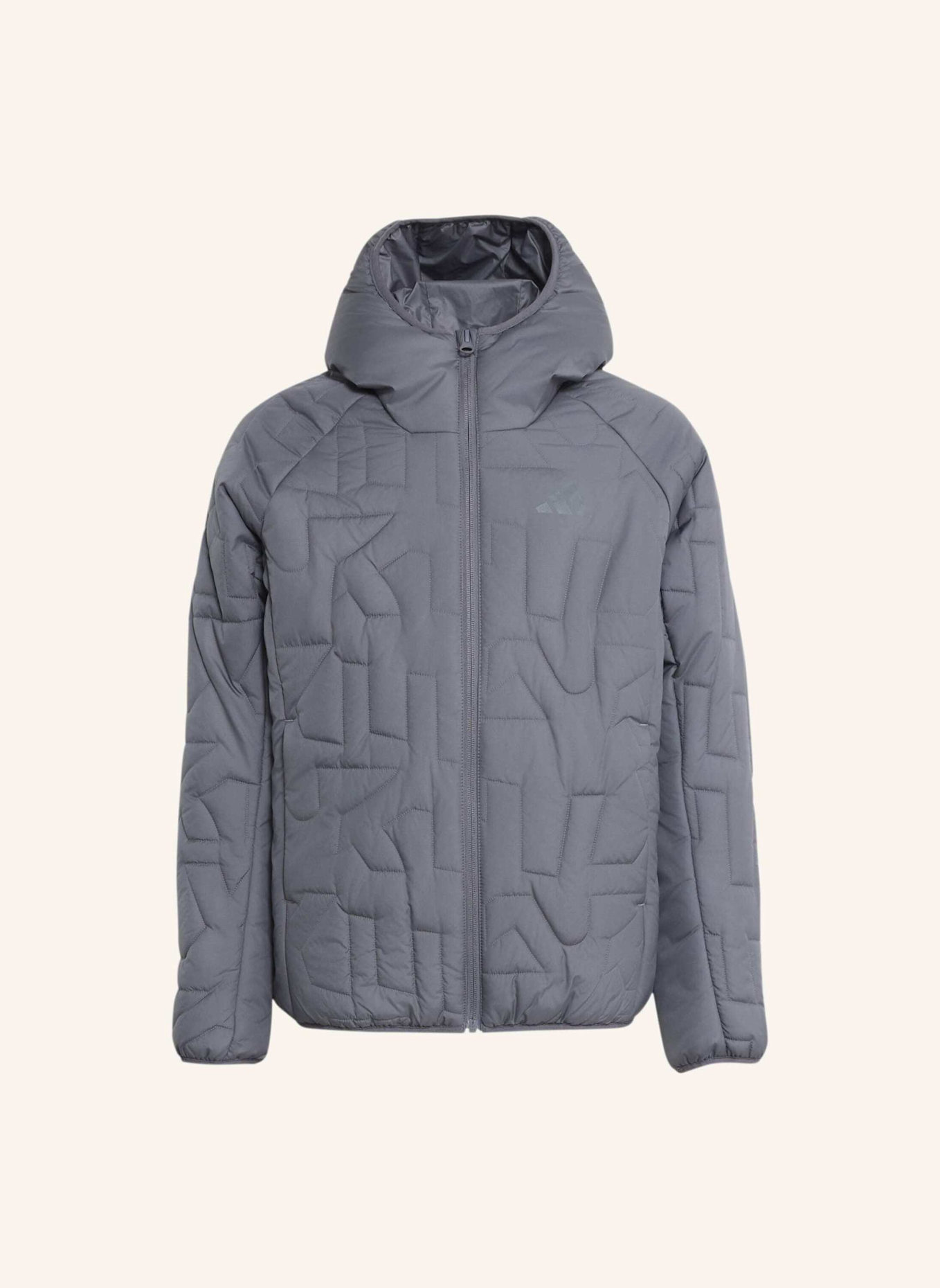 adidas TERREX TERREX KIDS XPERIOR CLIMAWARM GEFÜTTERTE JACKE: GRAU