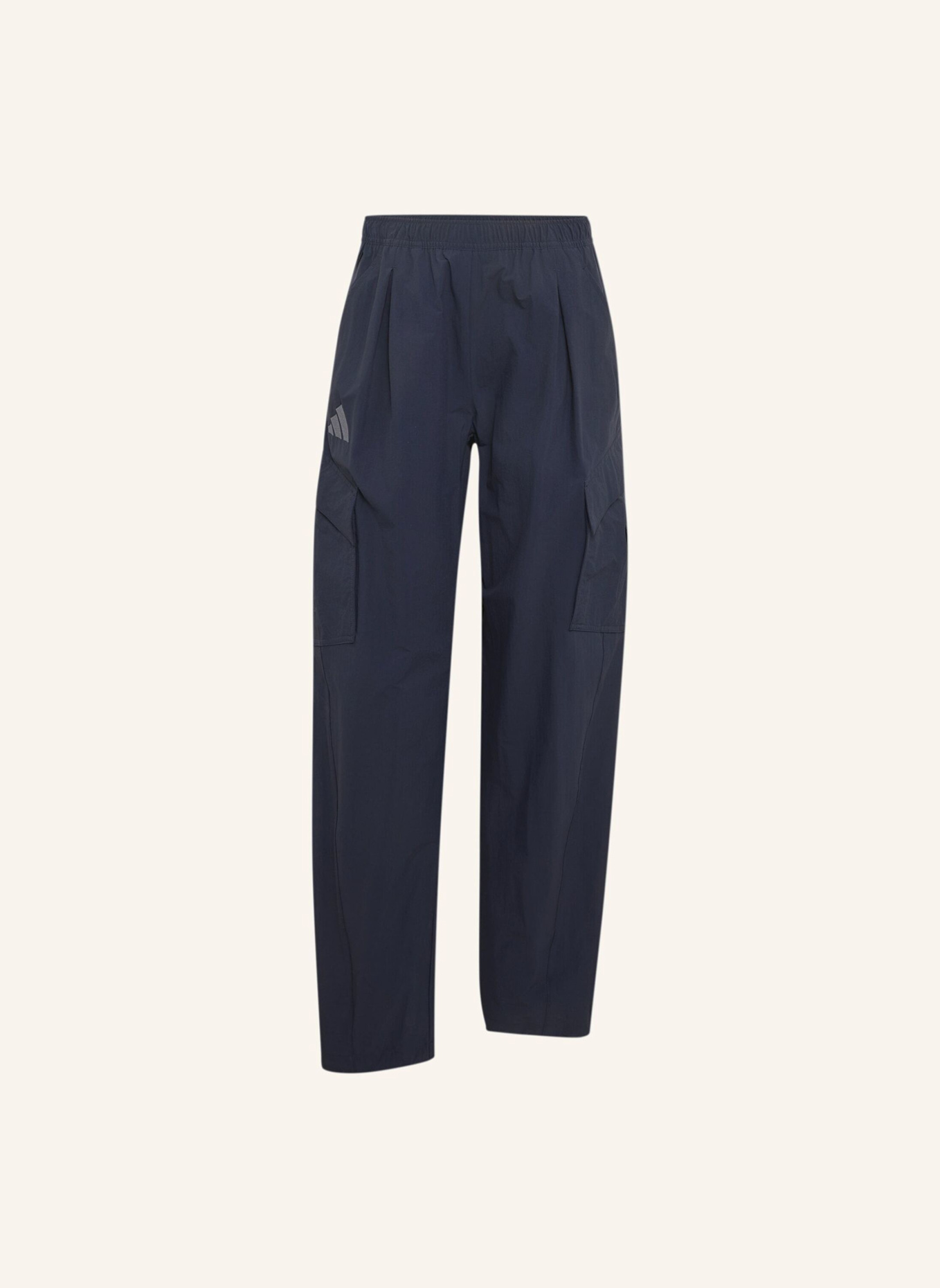 adidas TERREX Trekkinghose TERREX XPLORIC CLIMA 365: BLAU
