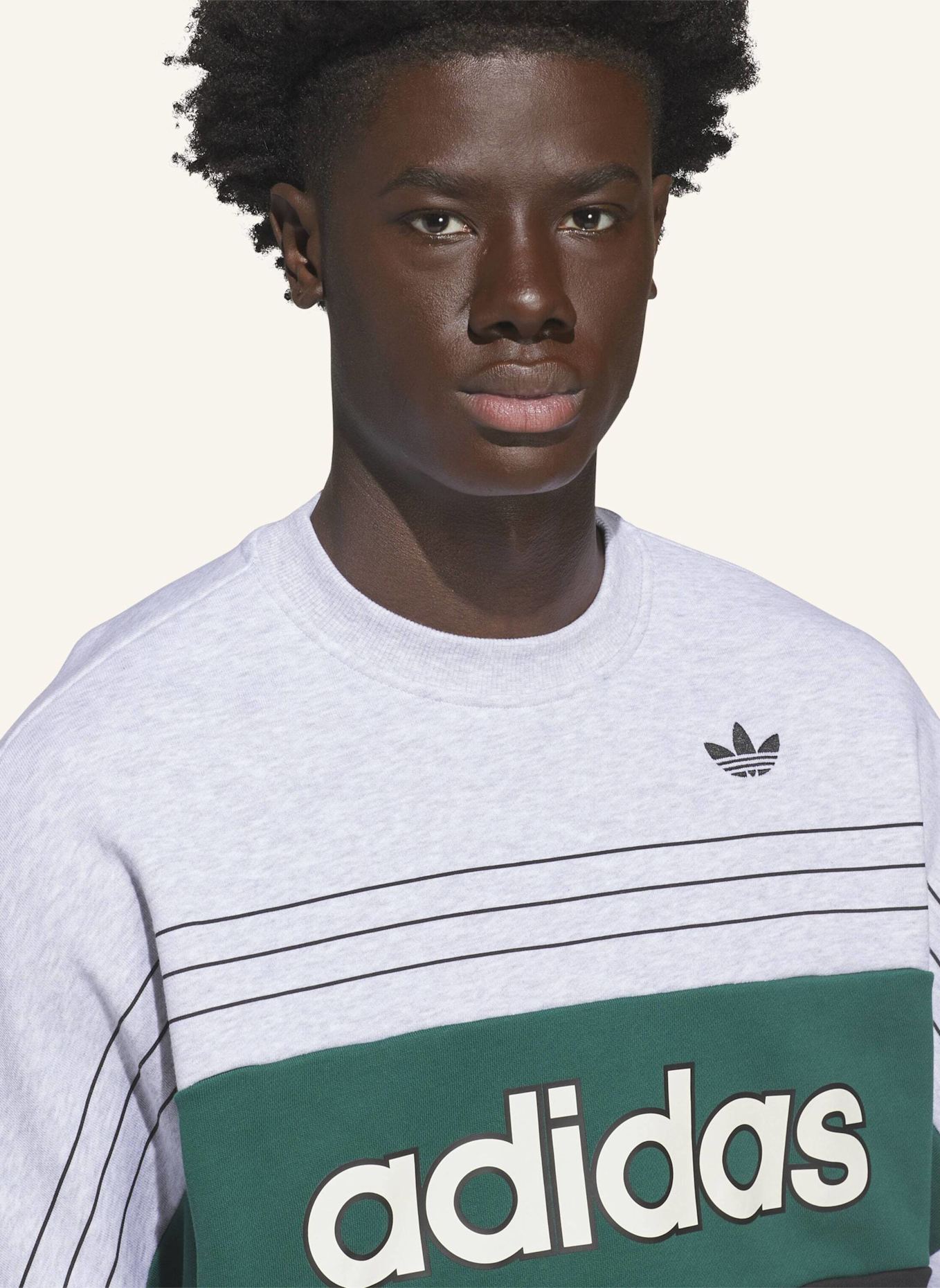 adidas Originals ORIGINALS VARSITY SWEATSHIRT: GRAU