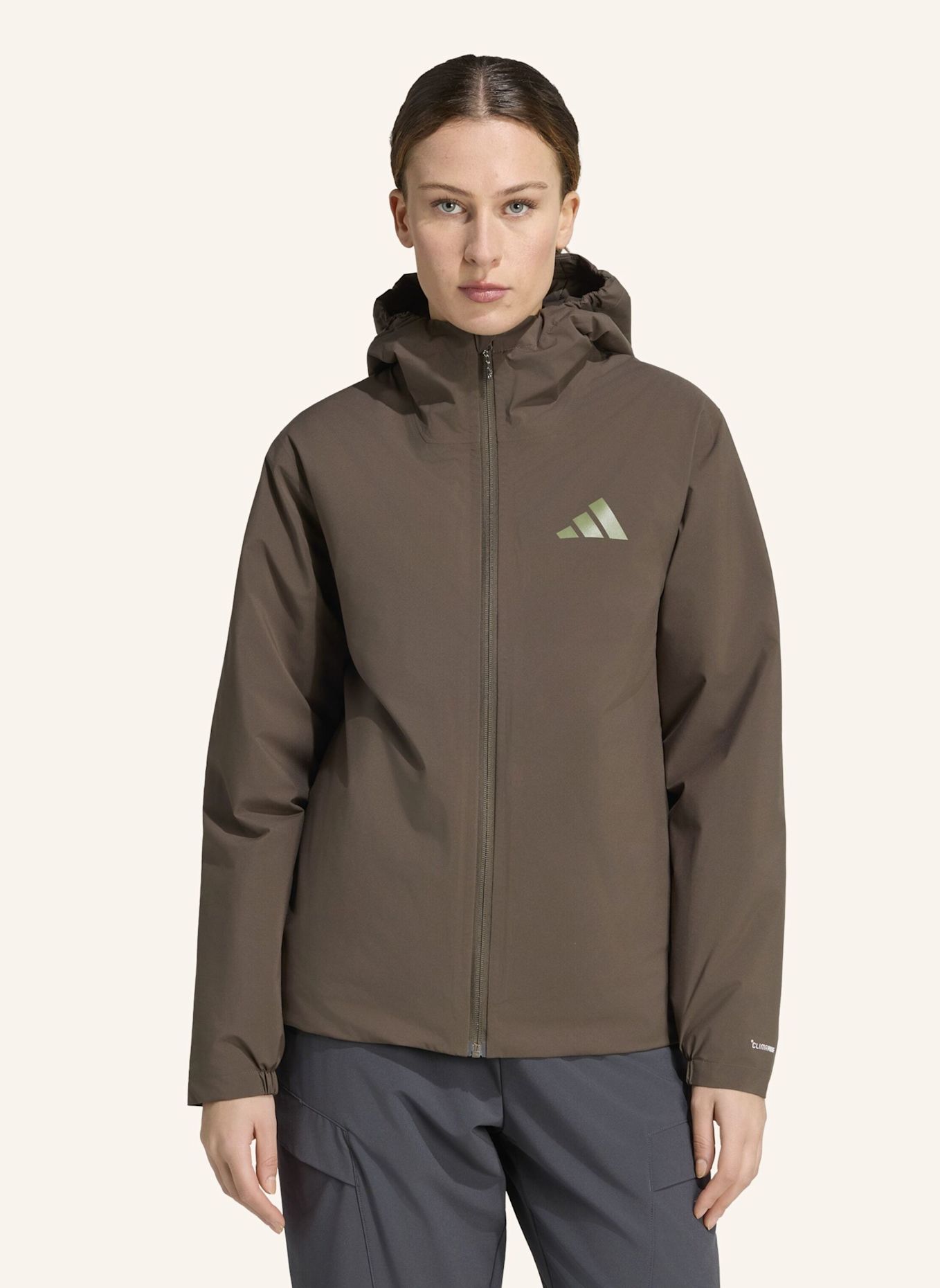 adidas TERREX TERREX MULTI ESSENTIALS CLIMAPROOF KAPUZENJACKE, ISOLIEREND: GRÜN