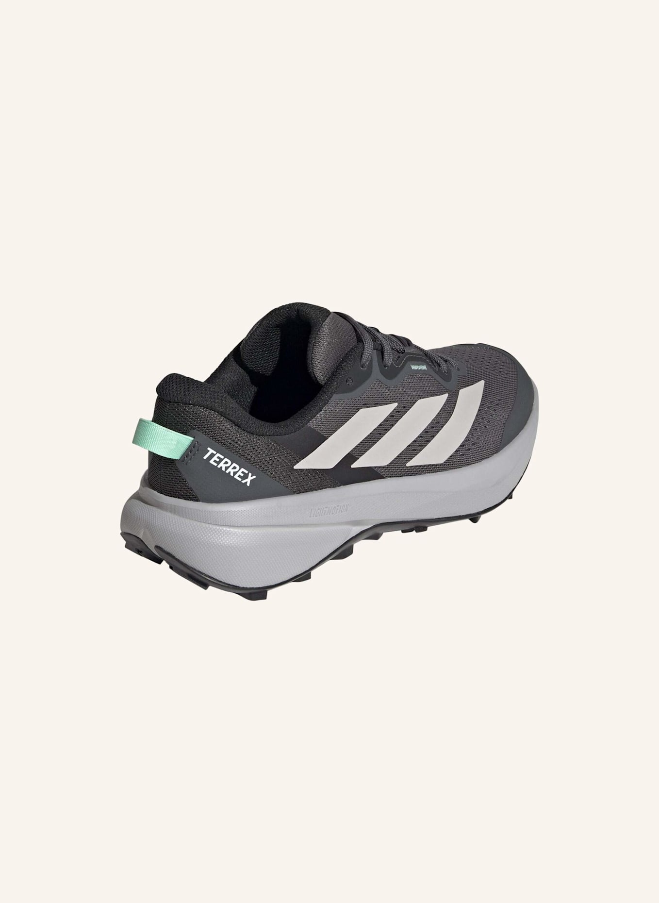 adidas TERREX TERREX TRACEFINDER PLUS TRAILRUNNING-SCHUH: GRAU