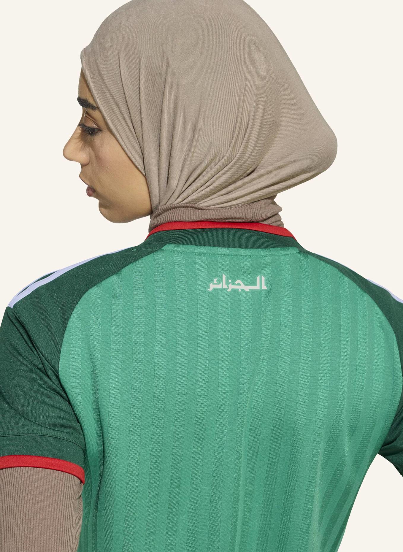 adidas ALGERIEN 26 AUSWÄRTSTRIKOT: GRÜN