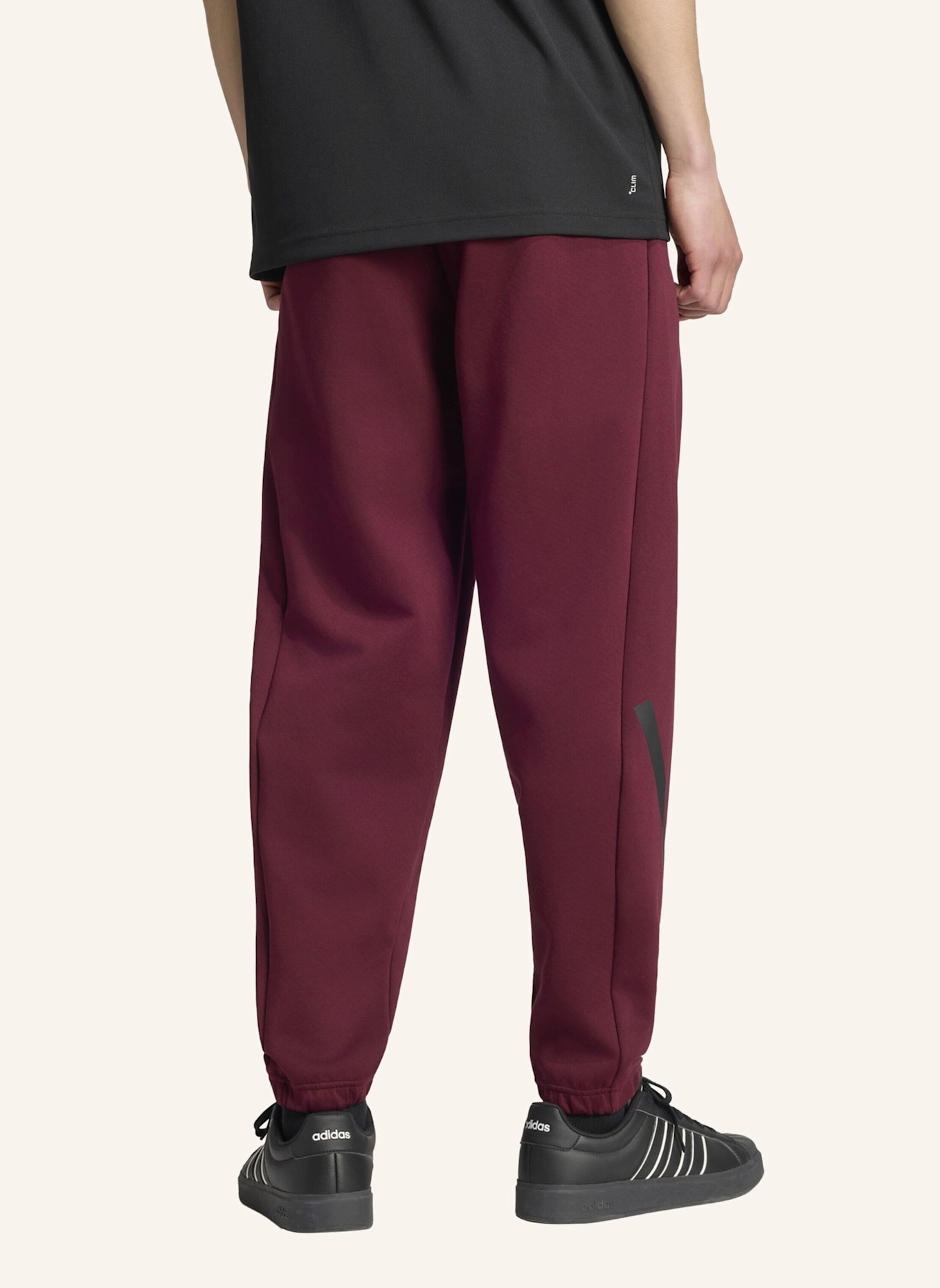 adidas ADIDAS Z.N.E. HOSE: ROT