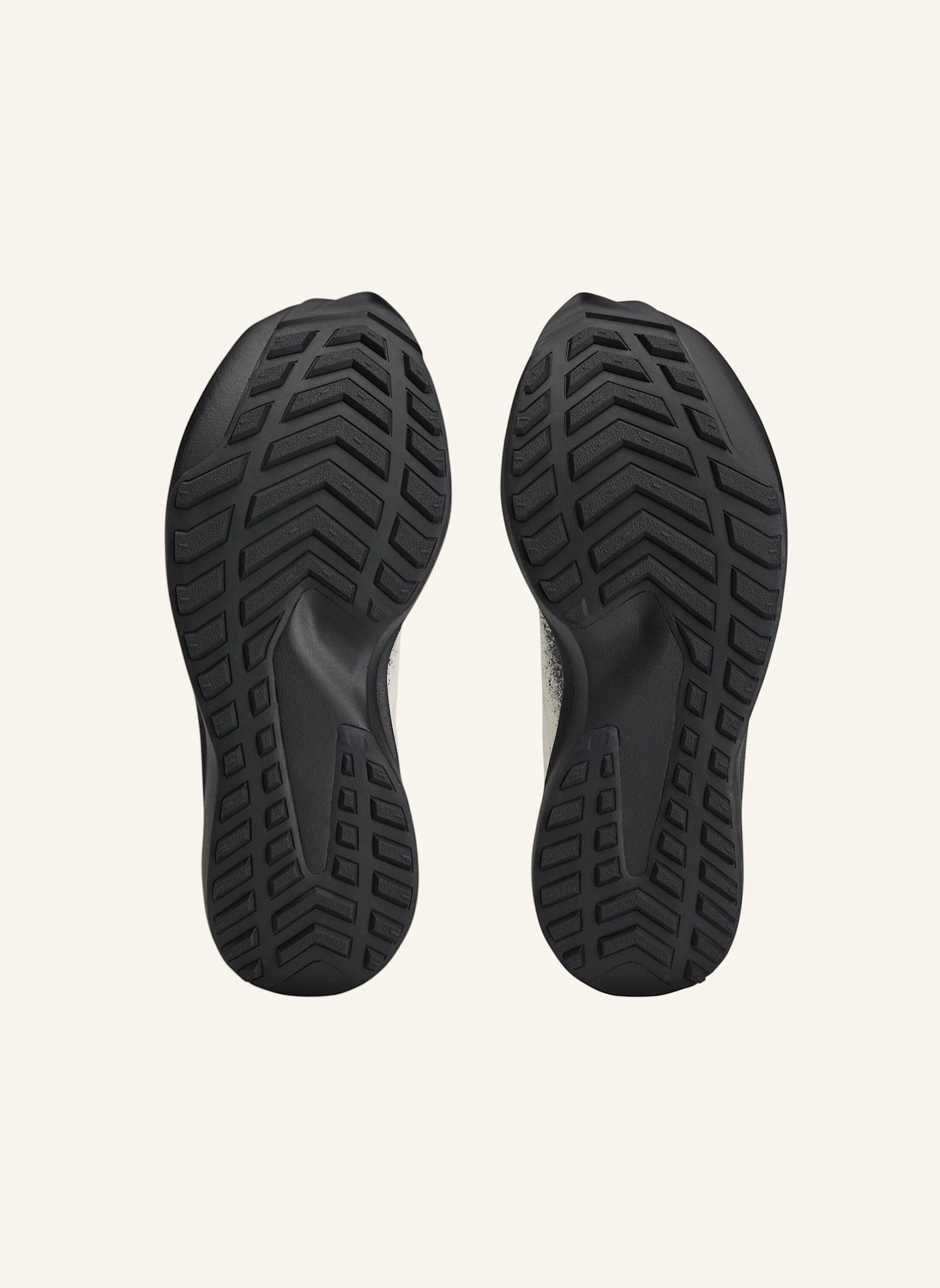 Y-3 Y-3 EVO SL ATR GTX SCHUH: WEISS / SCHWARZ