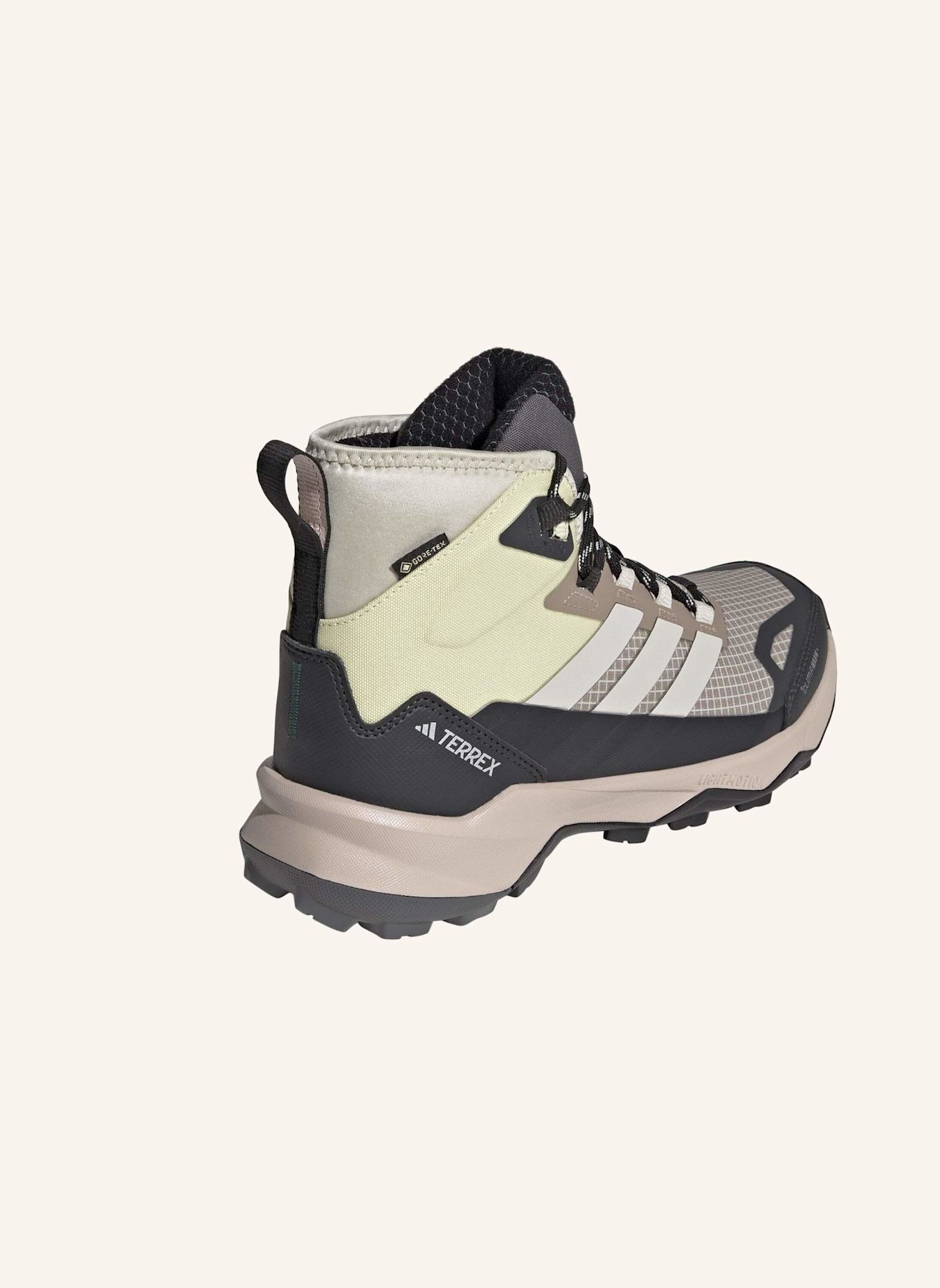 adidas TERREX Wanderschuhe TERREX SKYCHASER AX5 MID GTX CLIMAWARM: BRAUN / BEIGE
