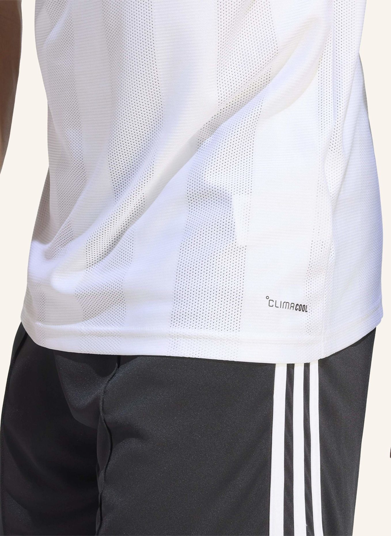 adidas EINTRACHT FRANKFURT 26/27 AUSWÄRTSTRIKOT: WEISS