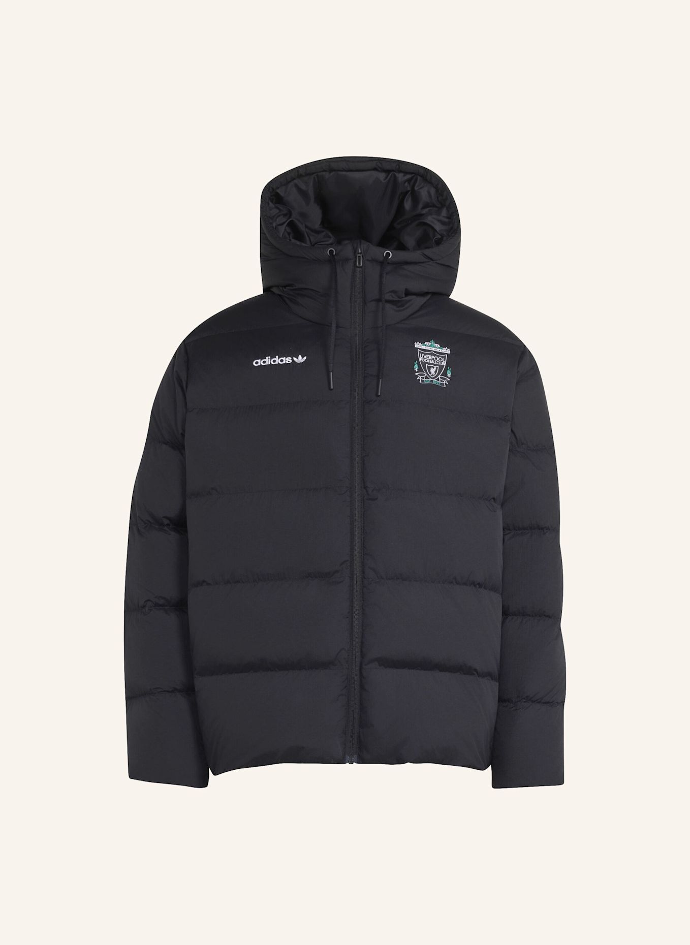 adidas LIVERPOOL FC EQT DAUNENJACKE: SCHWARZ
