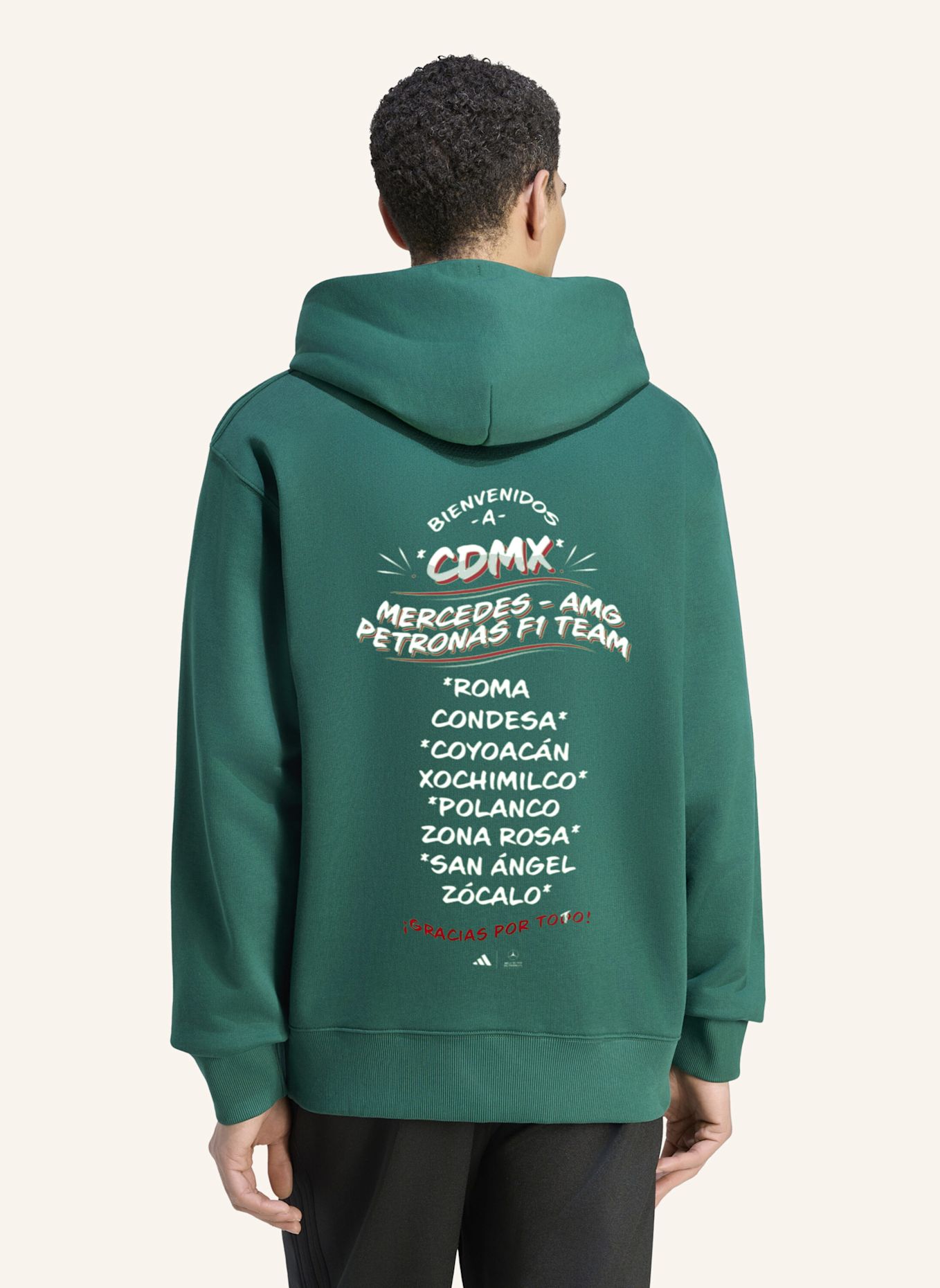 adidas MERCEDES - AMG PETRONAS FORMULA 1 TEAM MEXIKO CITY HOODIE: GRÜN