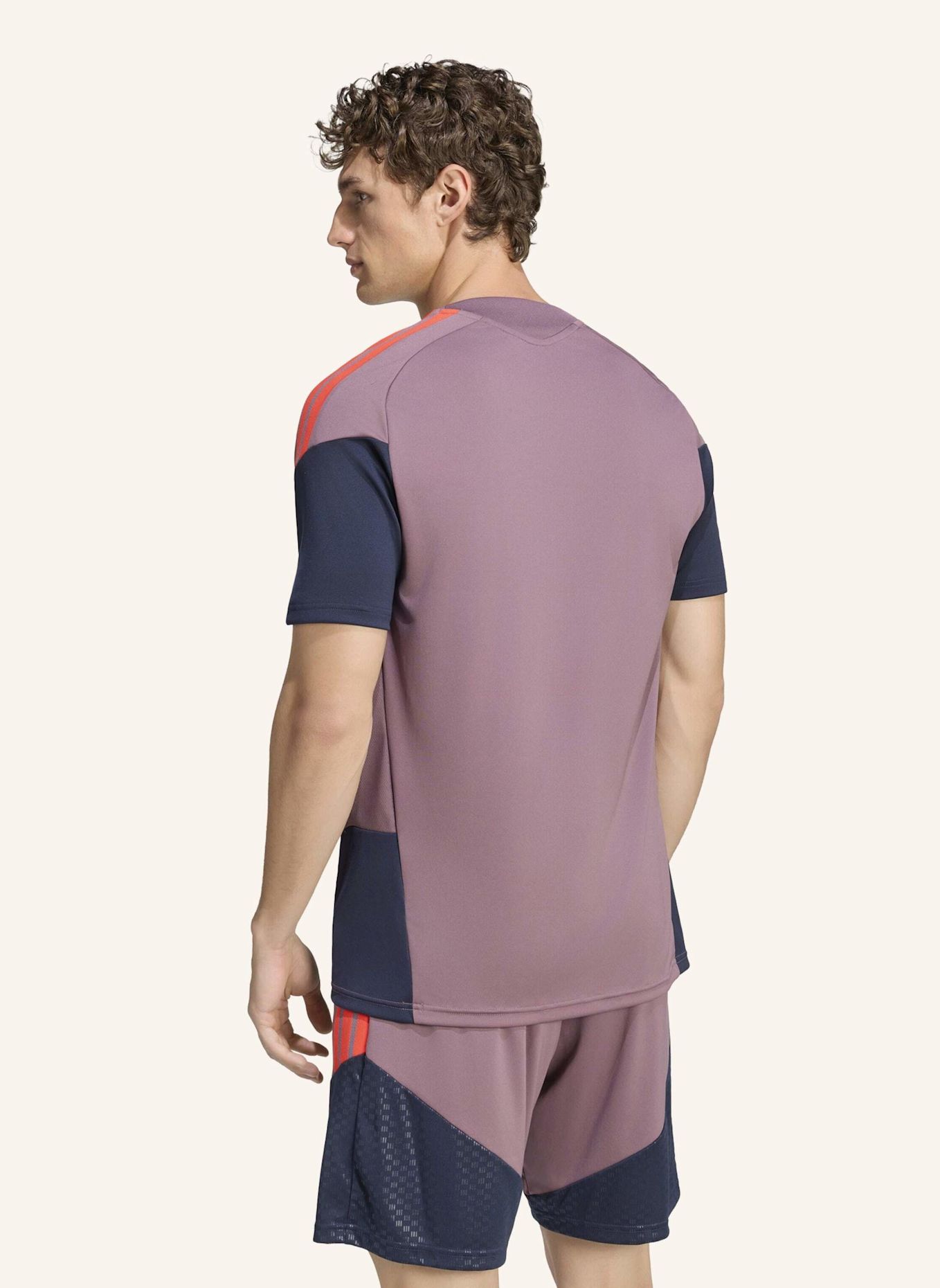adidas FC BAYERN MÜNCHEN 26/27 CUP TRAININGSTRIKOT: BRAUN / BLAU
