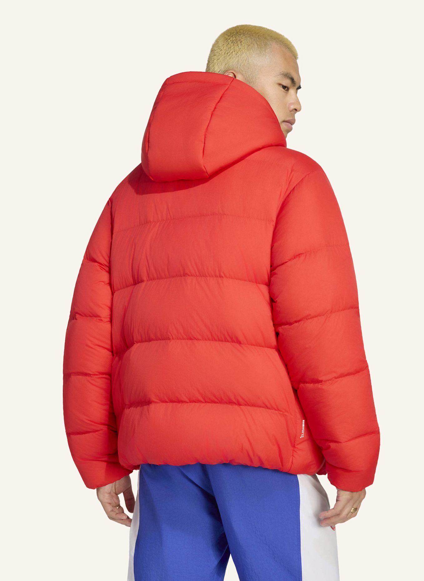 adidas FC BAYERN MÜNCHEN EQT DW JACKE: ROT