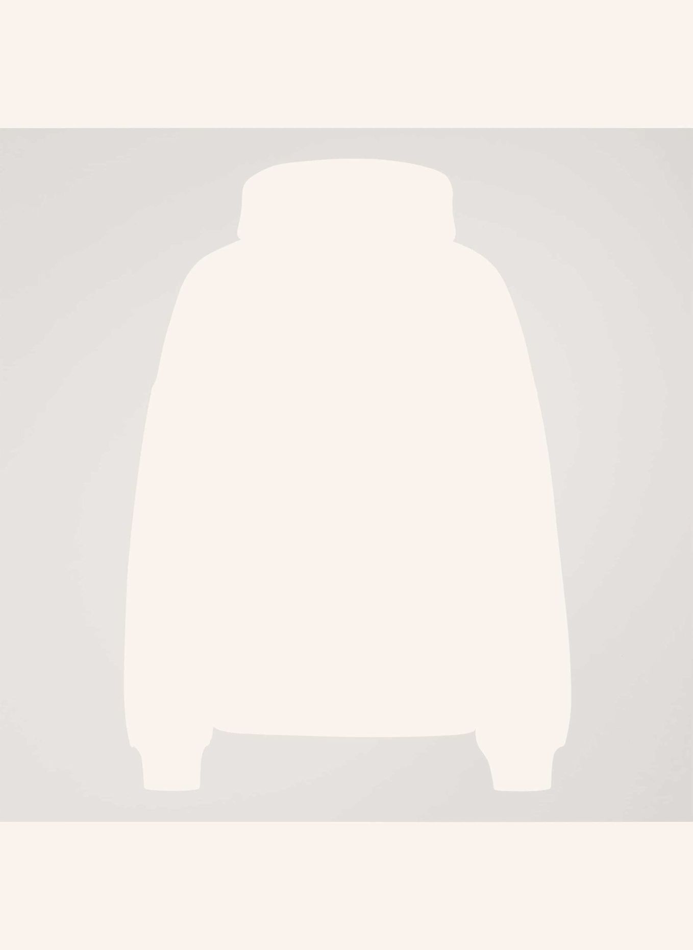 adidas Originals ADISIGNATURE NY HOODIE: GRAU