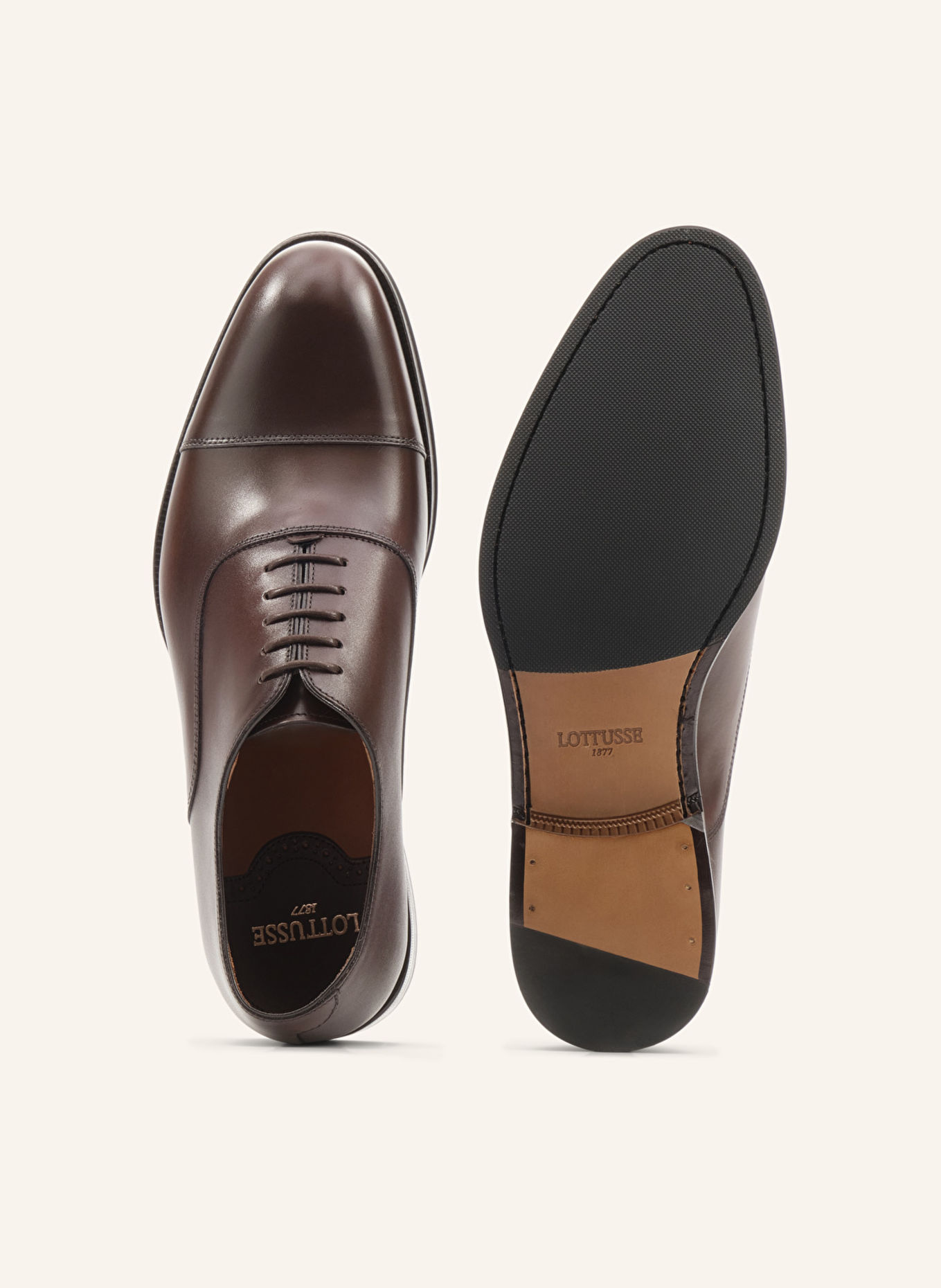 LOTTUSSE Oxfordschuhe LENOX: BRAUN