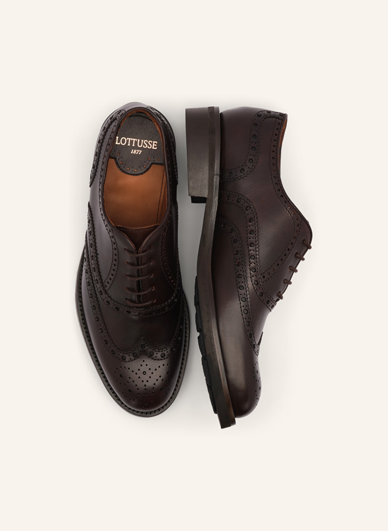 LOTTUSSE Schnürer : BRAUN